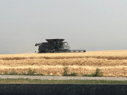 Why Northern Idaho Grows the Best Wheat in the World