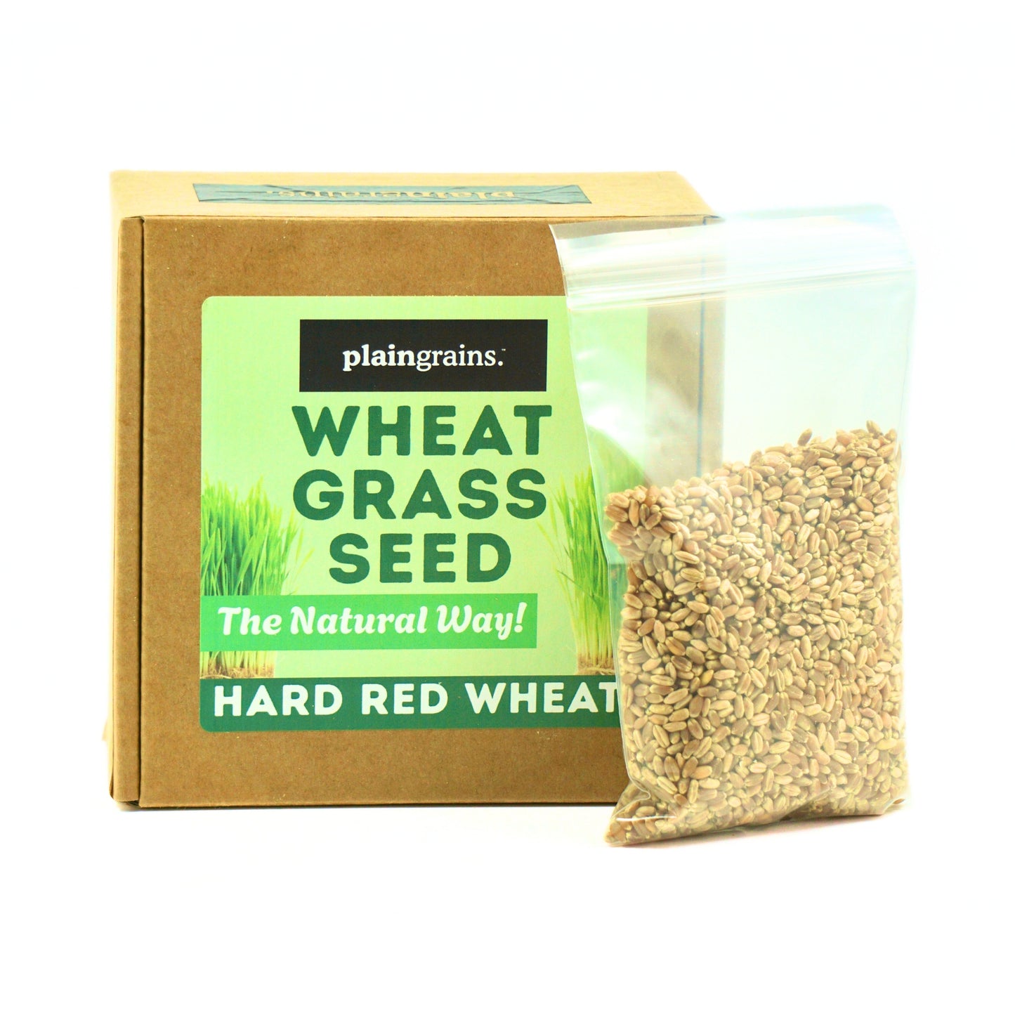 1.5 LB Wheatgrass Seeds - The Natural Way | Single Box w/ 4 Packets