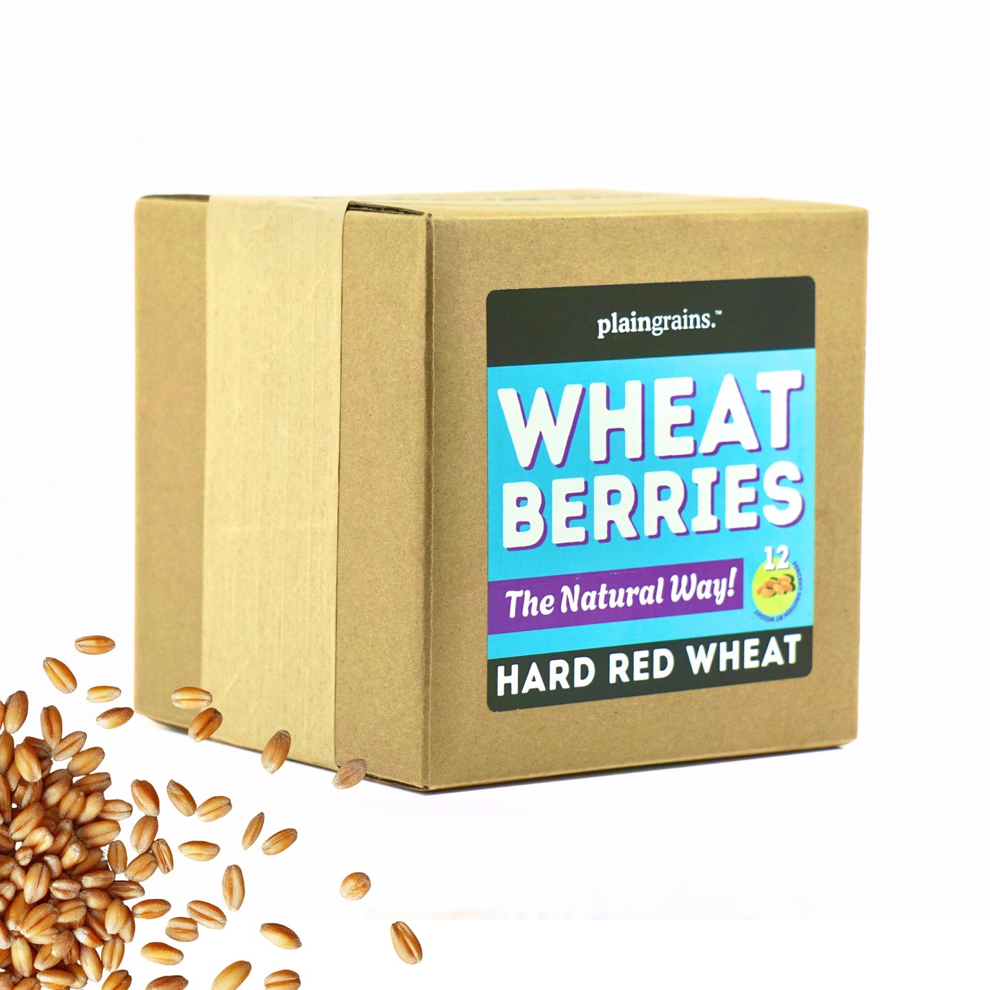5.5 LB Dry Organic Hard Red Winter Wheat Berries | Single Box