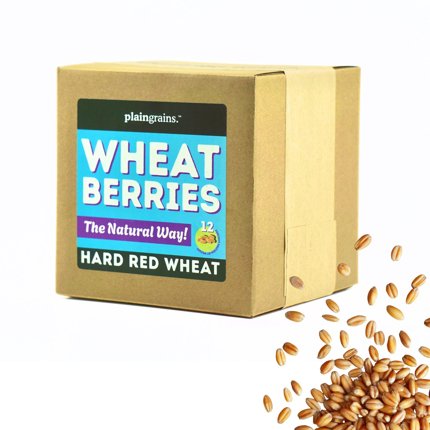 5.5 LB Dry Organic Hard Red Winter Wheat Berries | Single Box