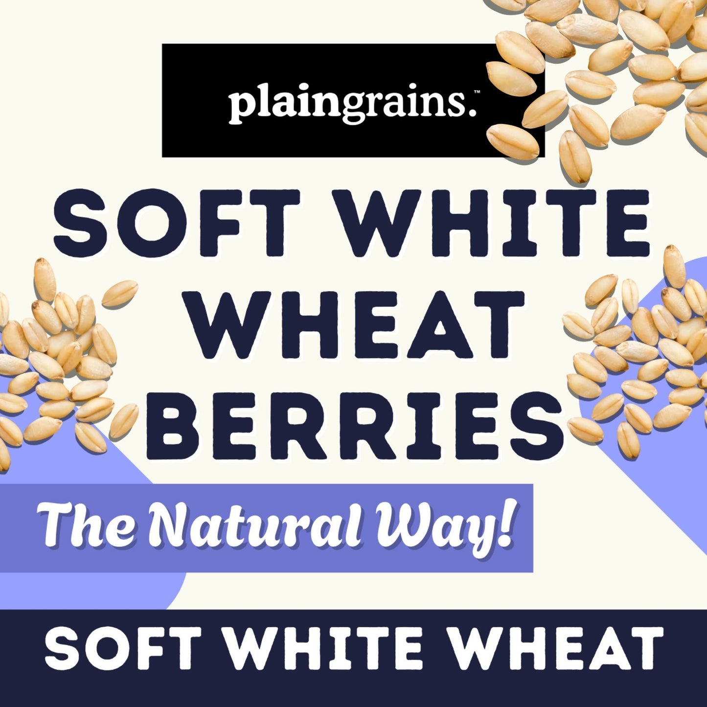 11 LB Dry Organic Soft White Winter Wheat Berries | Single Box