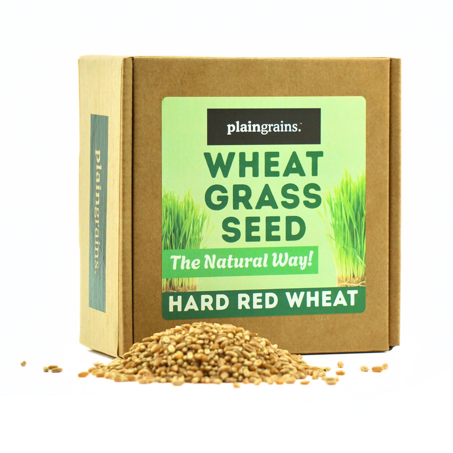 1.5 LB Wheatgrass Seeds - The Natural Way | Single Box w/ 4 Packets