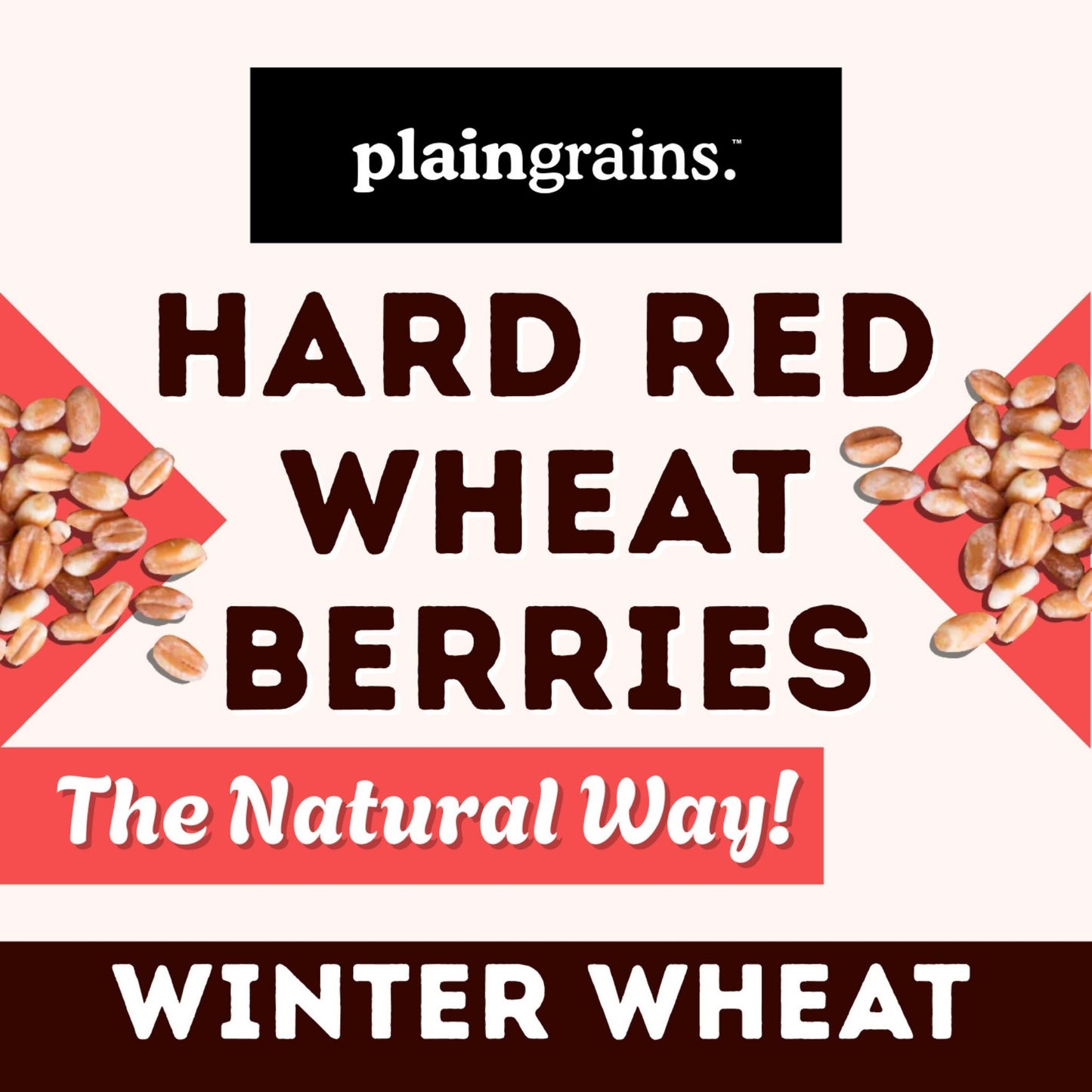5.5 LB Dry Hard Red Winter Wheat Berries | Single Box
