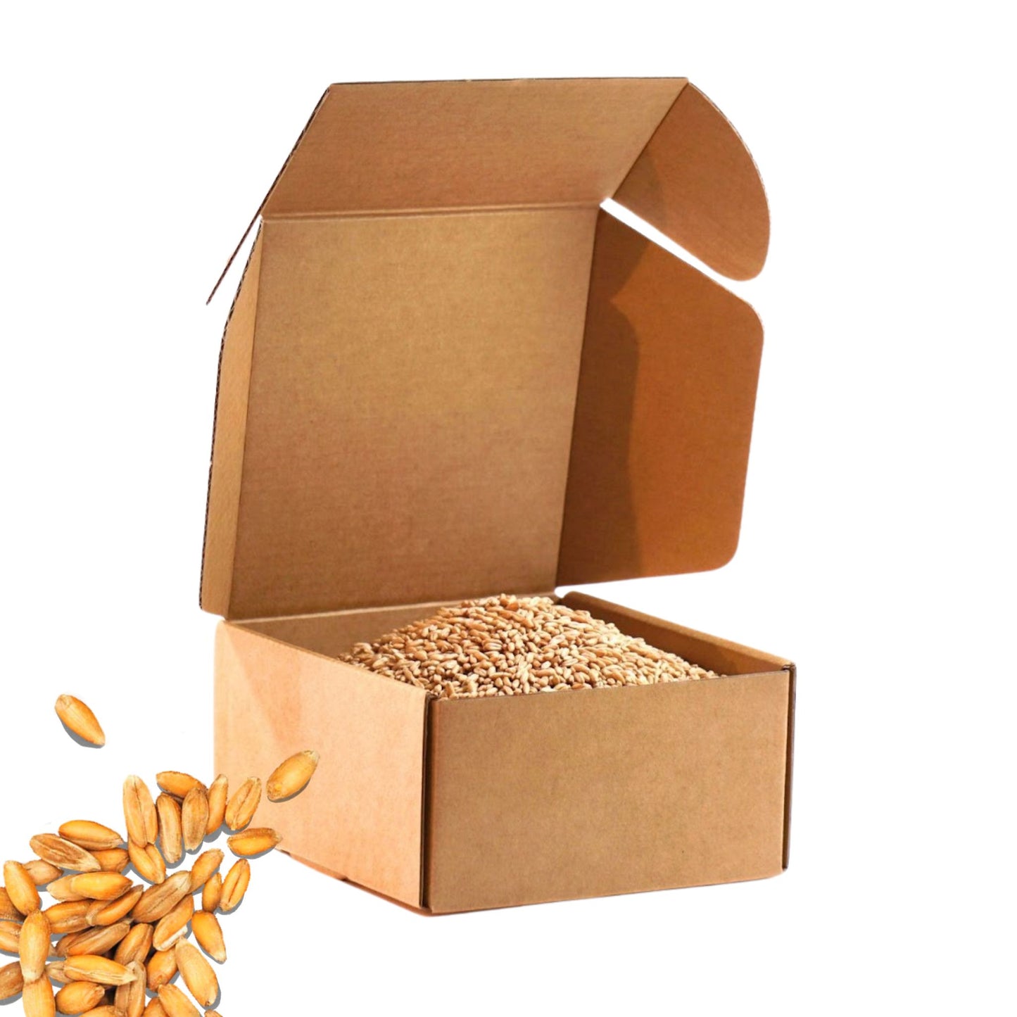 2.5 LB Dry Organic Spelt Wheat Berries - The Natural Way | Single Box
