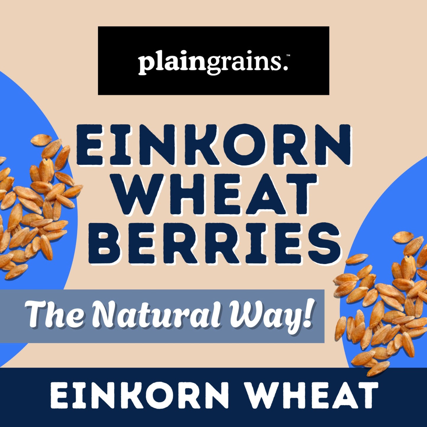 5.5 LB Dry Organic Einkorn Wheat Berries - The Natural Way | Single Box (Copy)