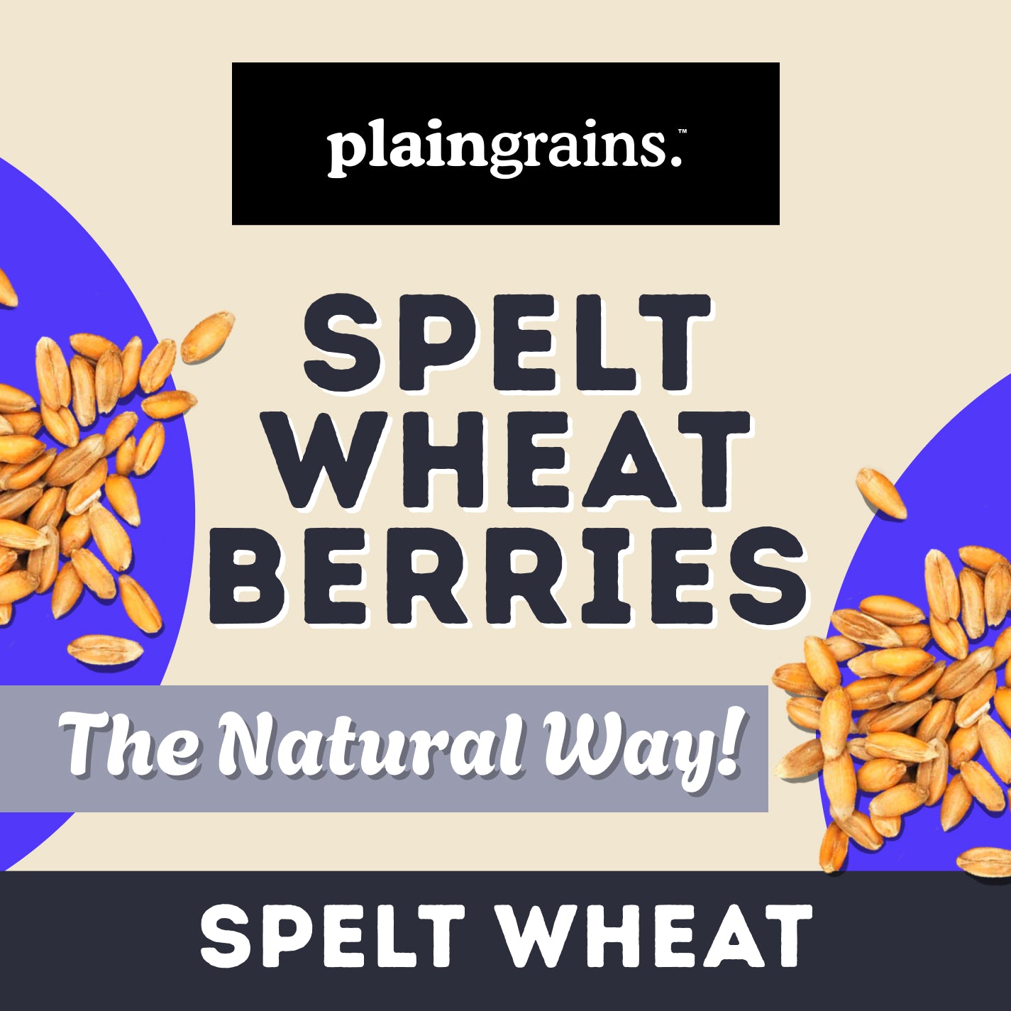 2.5 LB Dry Organic Spelt Wheat Berries - The Natural Way | Single Box