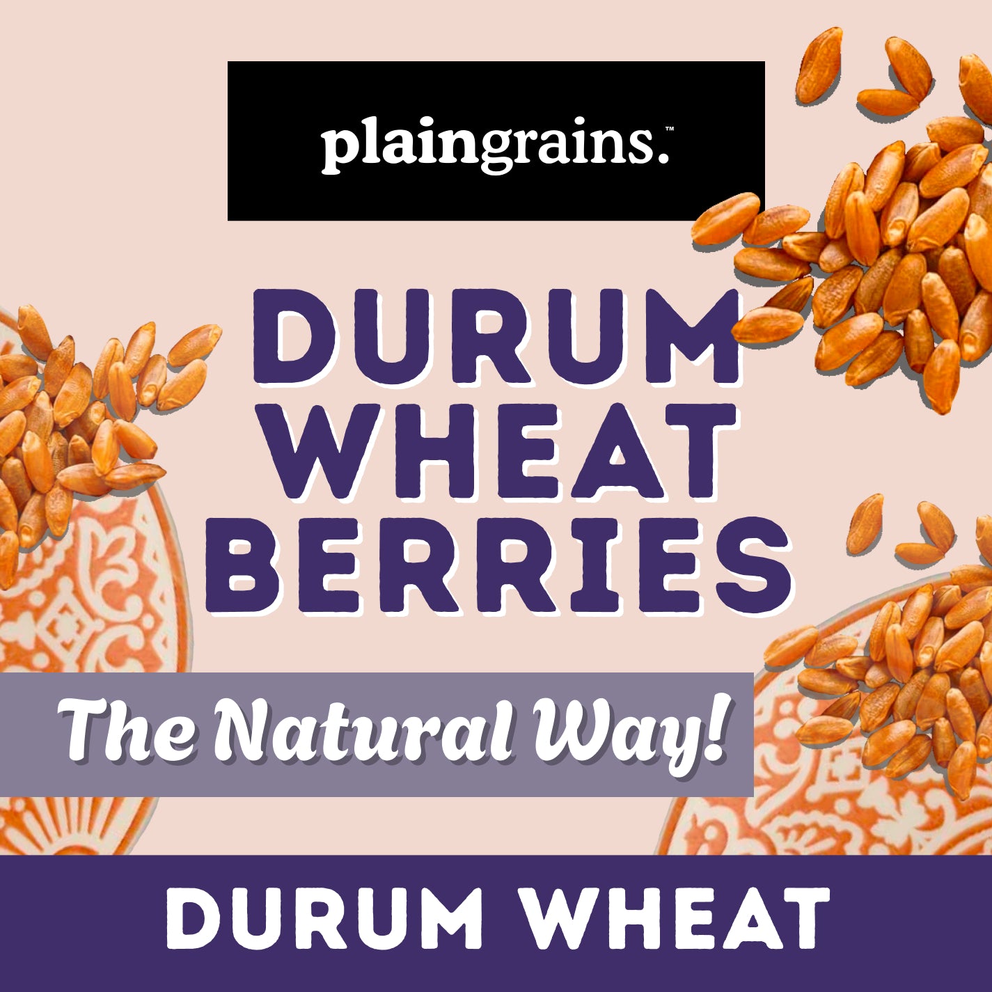 2.5 LB Dry Organic Durum Wheat Berries - The Natural Way | Single Box