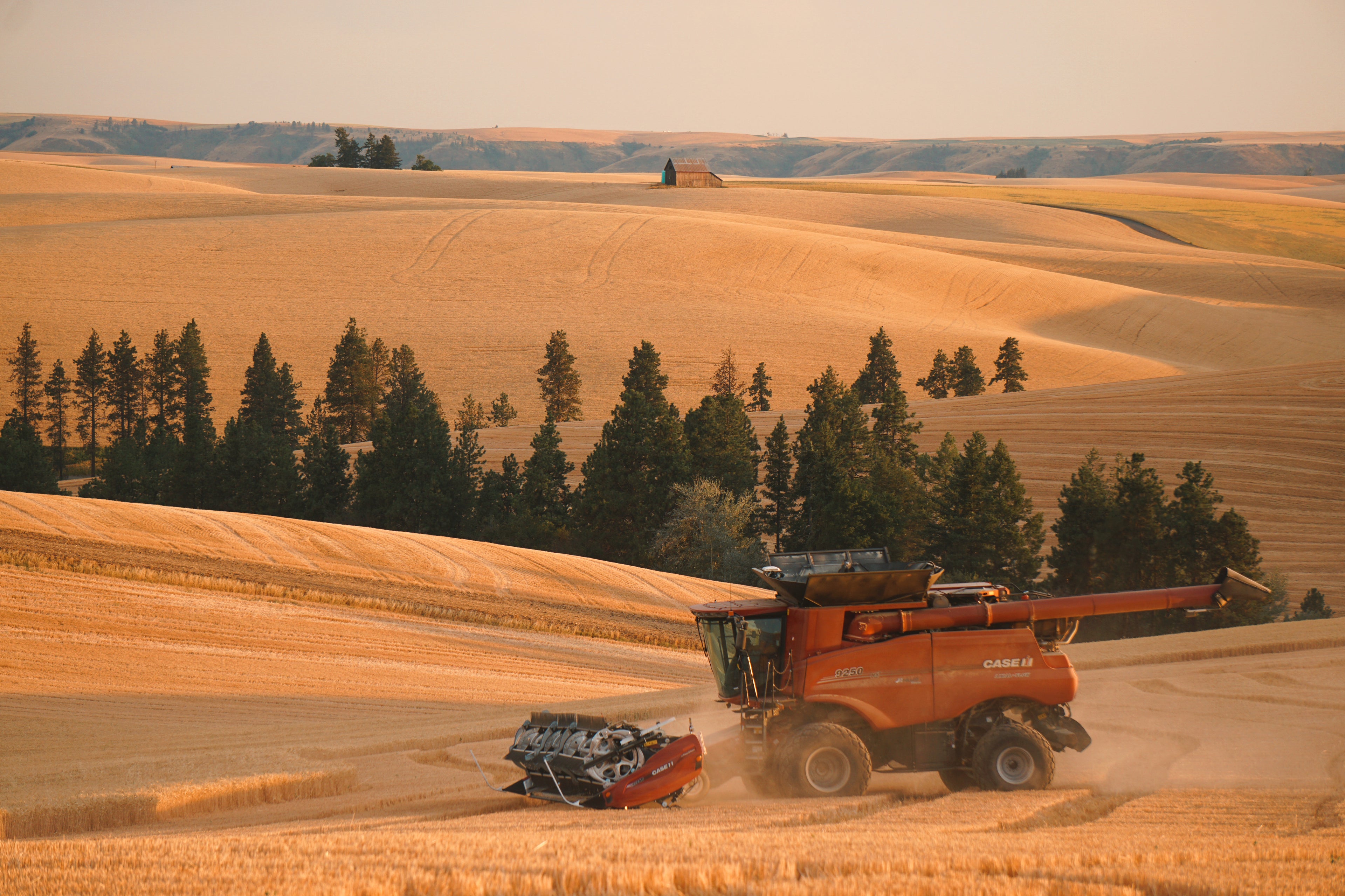 Harvester in a field with rolling hills and trees in the background