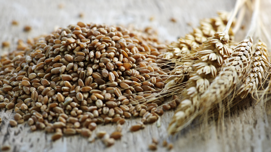 How to Cook Wheat Berries: Easy Steps for Perfect Results
