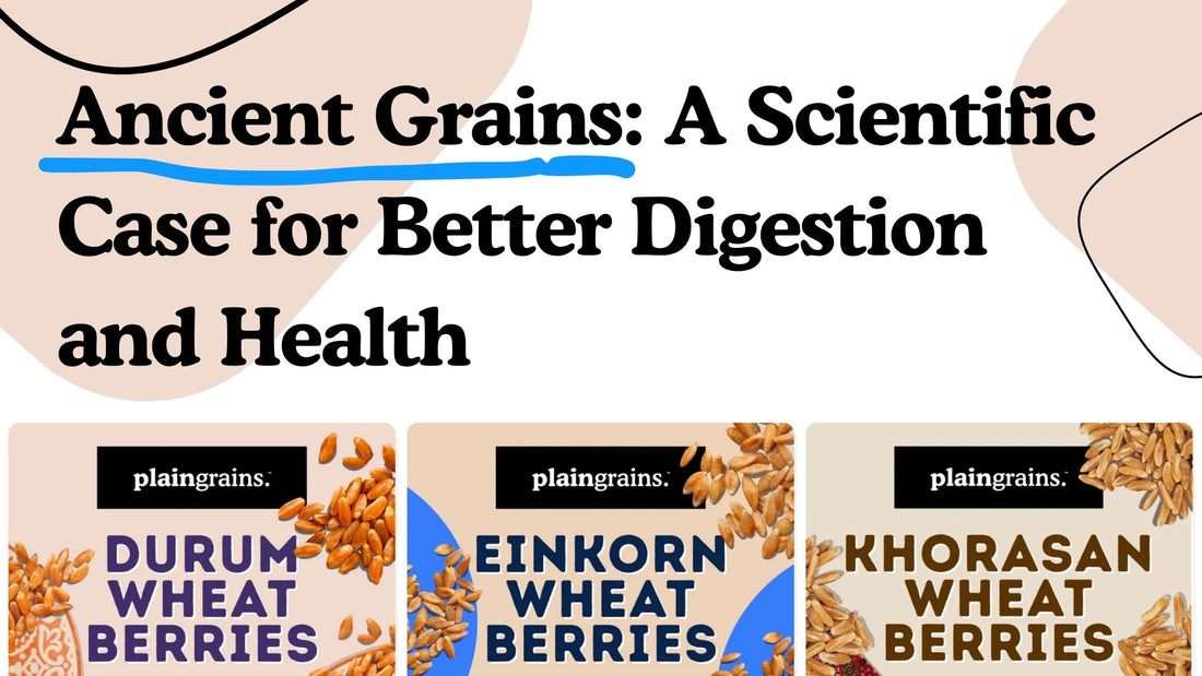 Ancient Grains: A Scientific Case for Better Digestion and Health