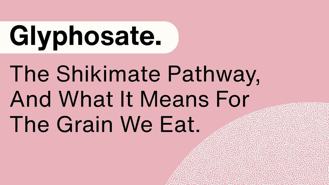 Glyphosate, The Shikimate Pathway, And What It Means For Grain We Eat
