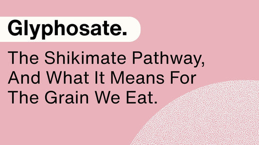 Glyphosate, The Shikimate Pathway, And What It Means For Grain We Eat