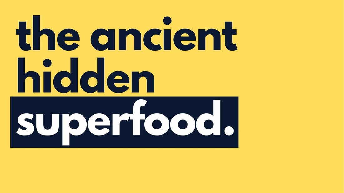 The Ancient Superfood Hidden in Your Bread