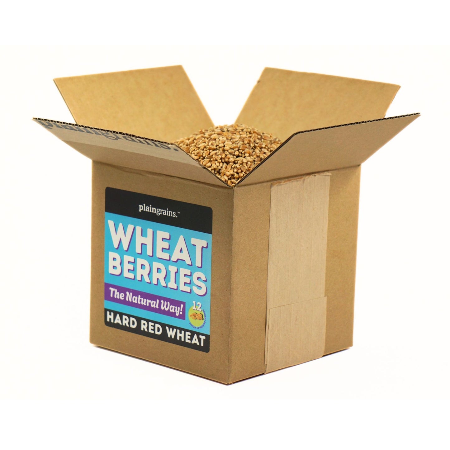 5.5 LB Dry Organic Hard Red Winter Wheat Berries | Single Box