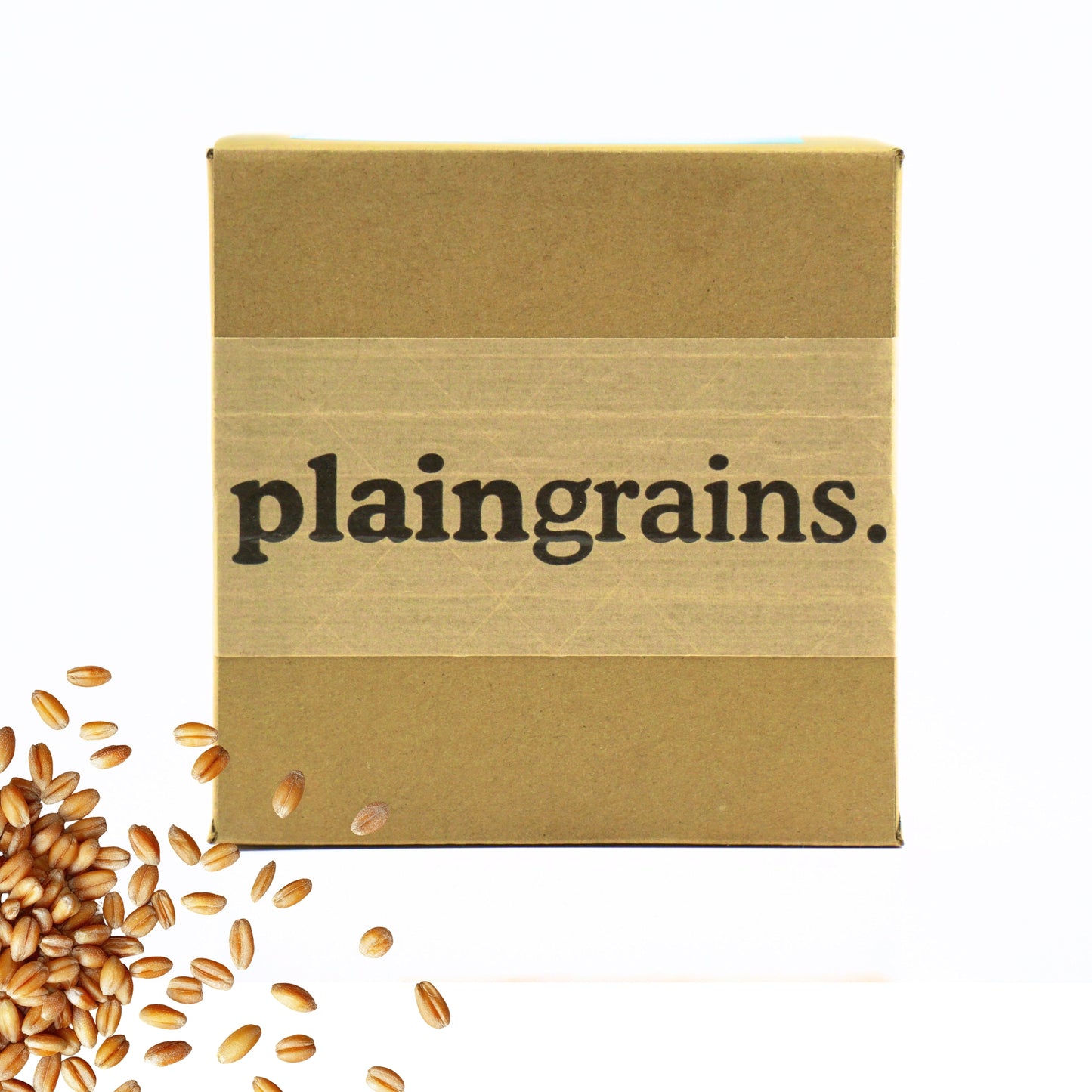 5.5 LB Dry Organic Hard Red Winter Wheat Berries | Single Box