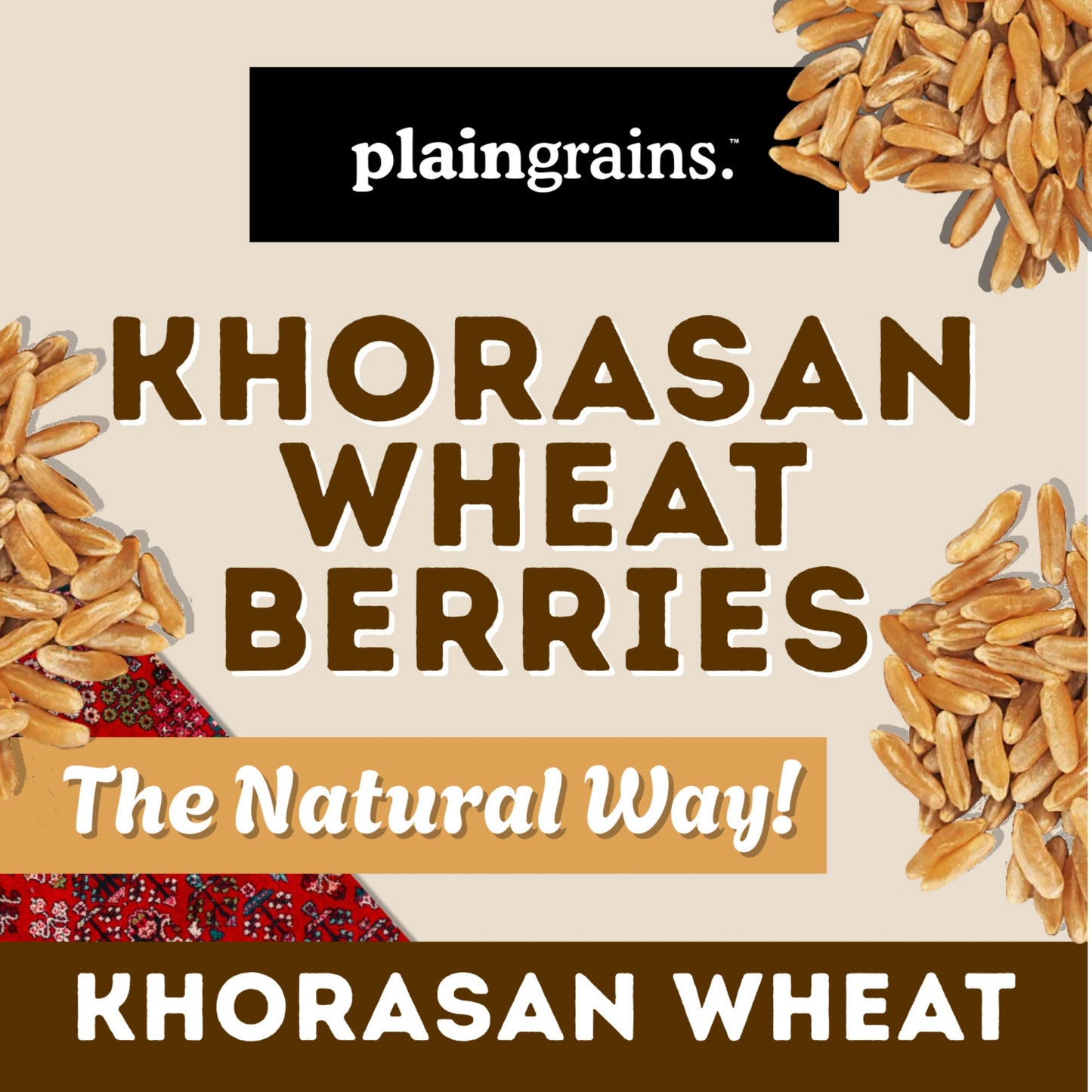 2.5 LB Dry Organic Khorasan Wheat Berries - The Natural Way | Single Box
