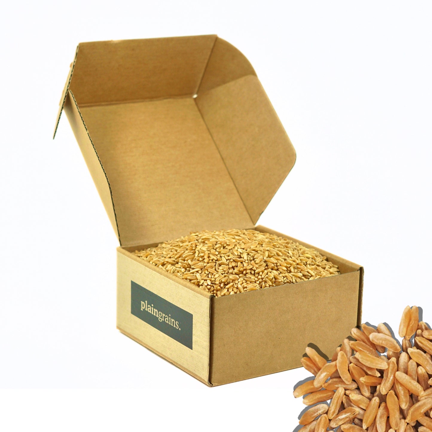 2.5 LB Dry Organic Khorasan Wheat Berries - The Natural Way | Single Box