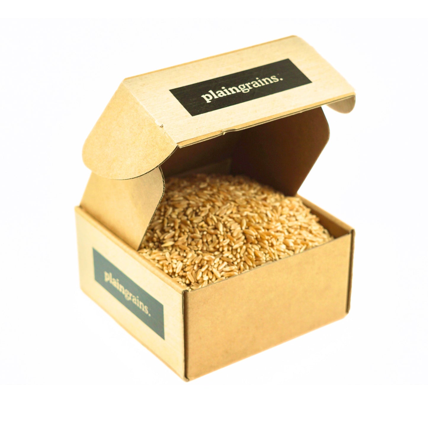 2.5 LB Dry Organic Khorasan Wheat Berries - The Natural Way | Single Box