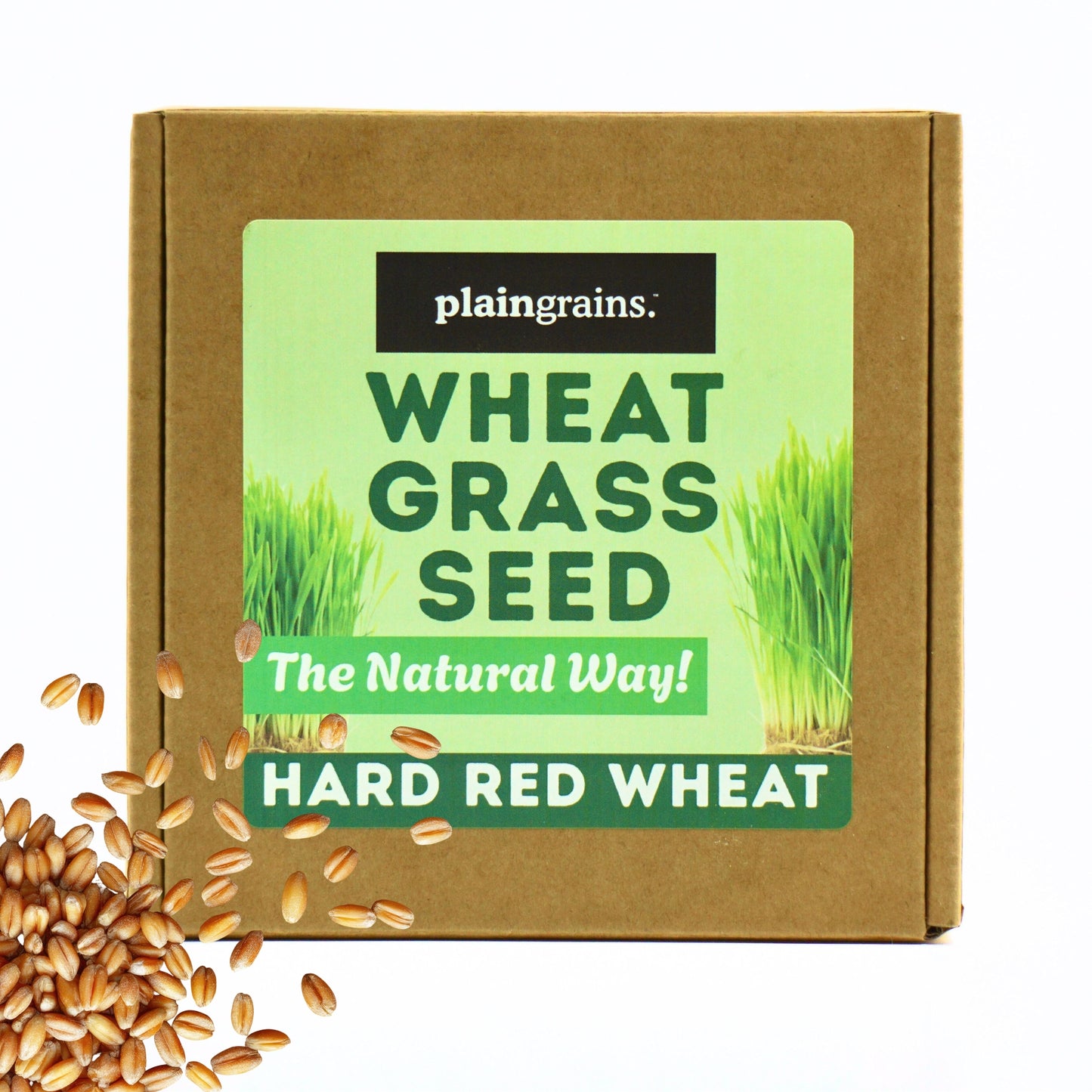 1.5 LB Wheatgrass Seeds - The Natural Way | Single Box w/ 4 Packets