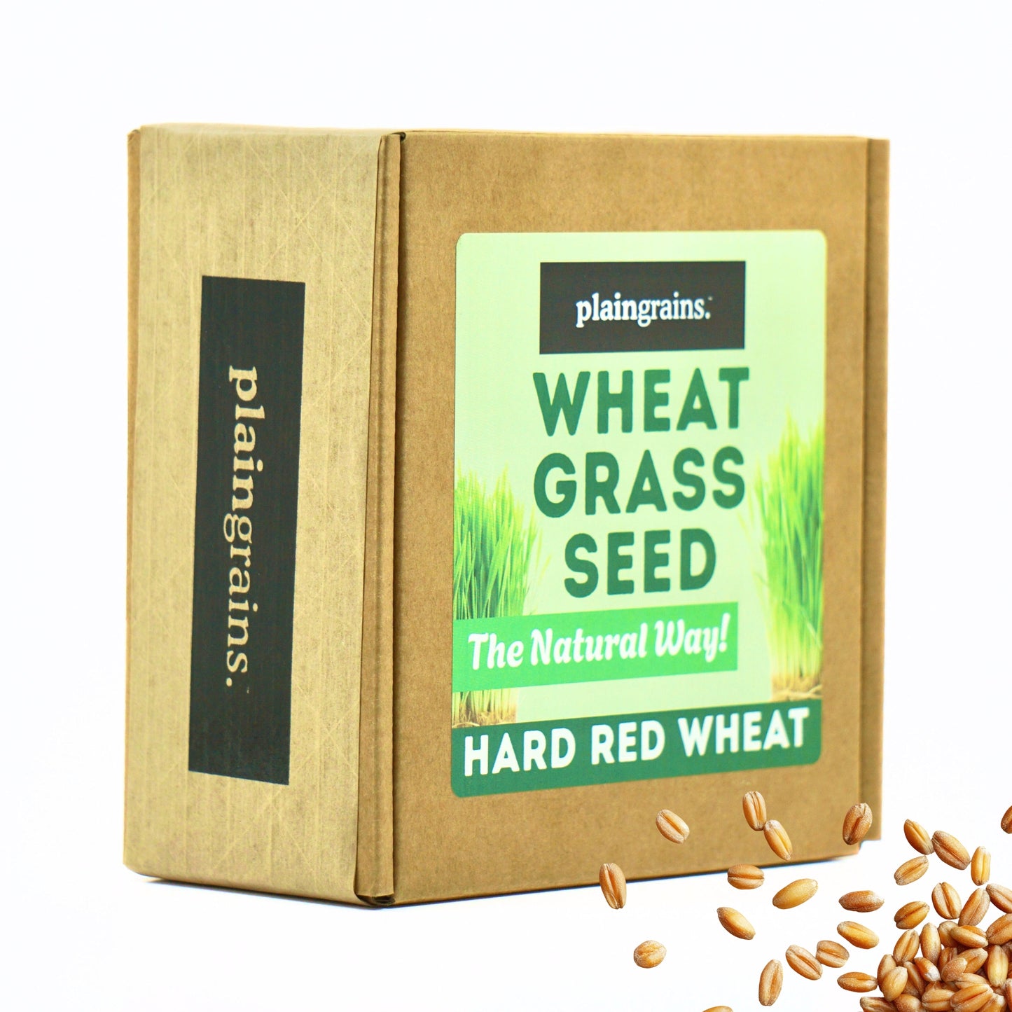 1.5 LB Wheatgrass Seeds - The Natural Way | Single Box w/ 4 Packets