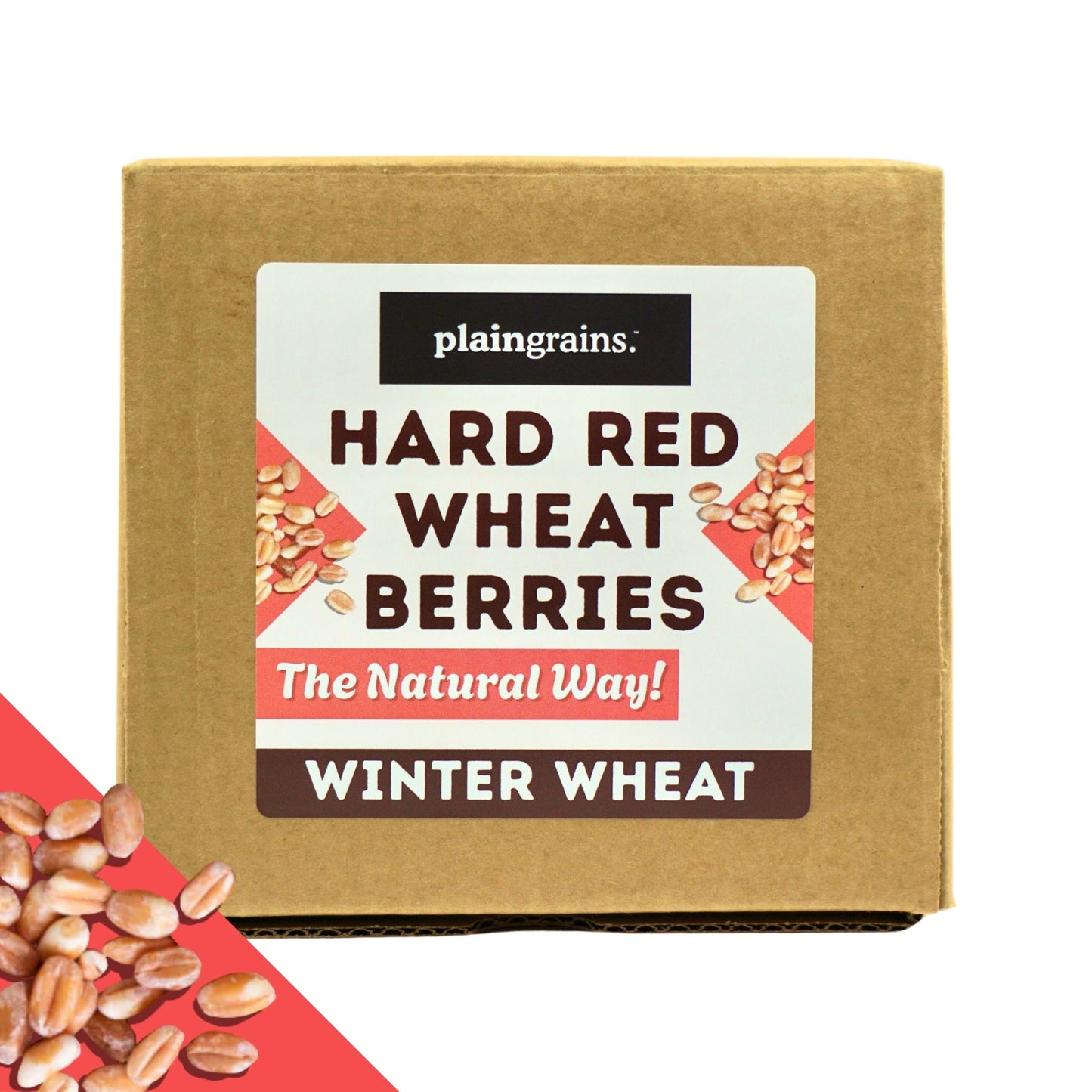 11 LB Dry Organic Hard Red Spring Wheat Berries | Single Box