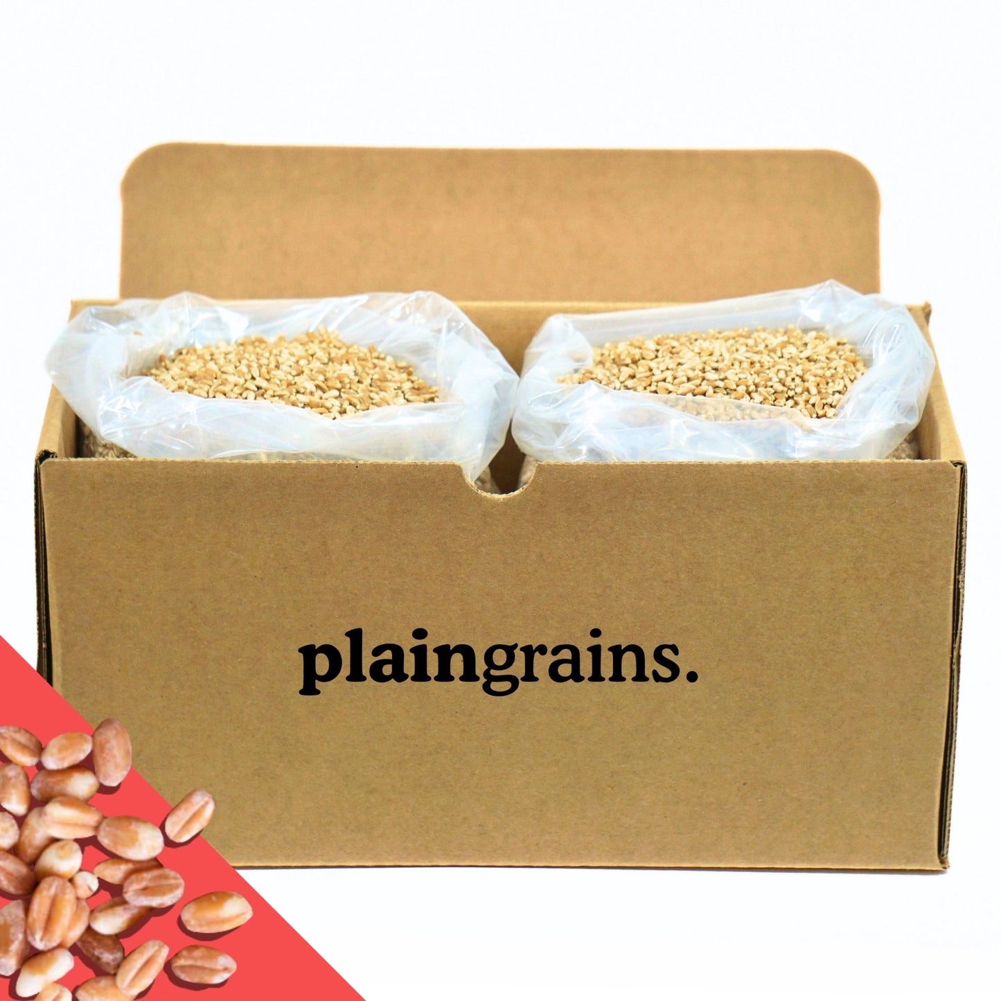 11 LB Dry Organic Hard Red Spring Wheat Berries | Single Box