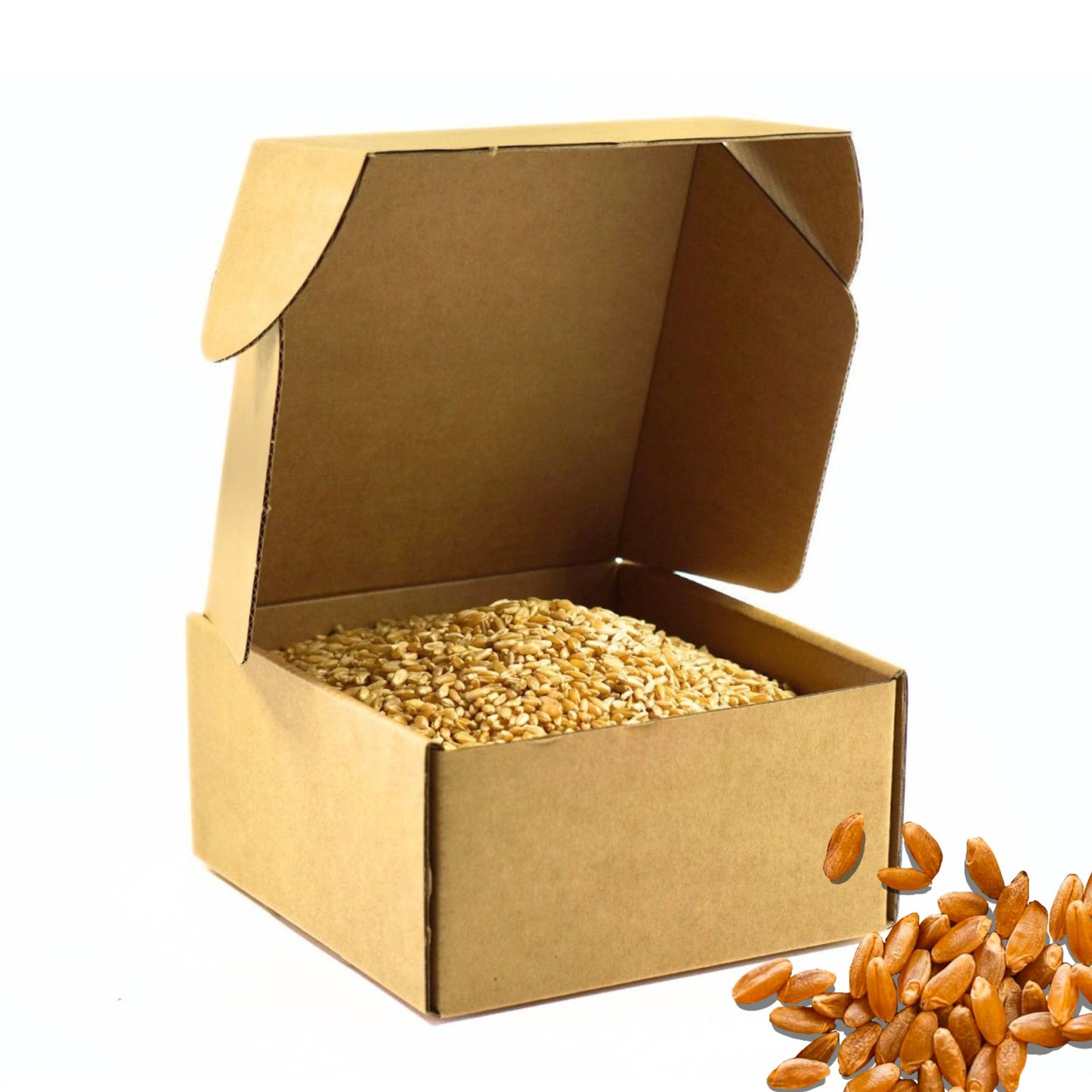 2.5 LB Dry Organic Durum Wheat Berries - The Natural Way | Single Box