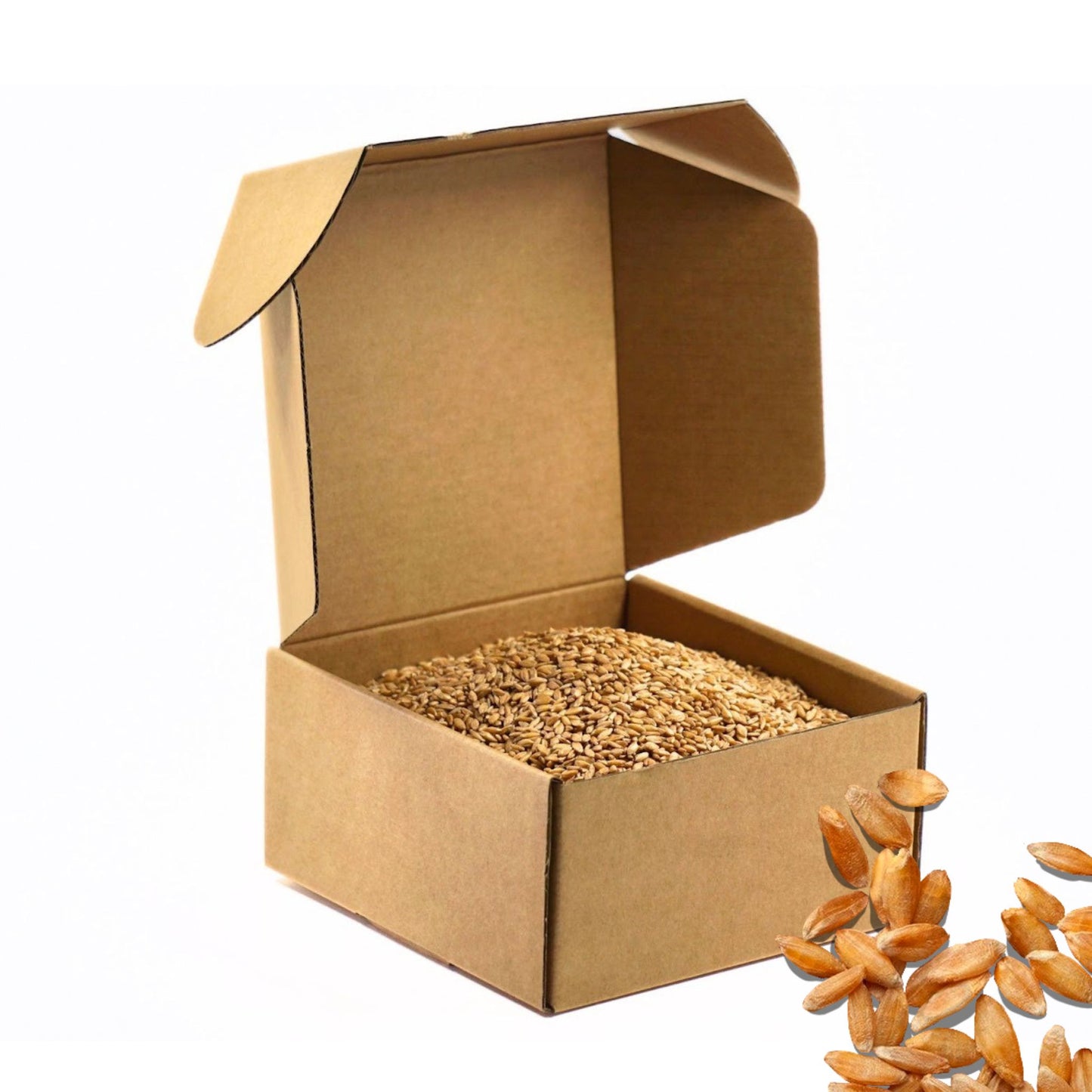 2.5 LB Dry Organic Einkorn Wheat Berries - The Natural Way | Single Box
