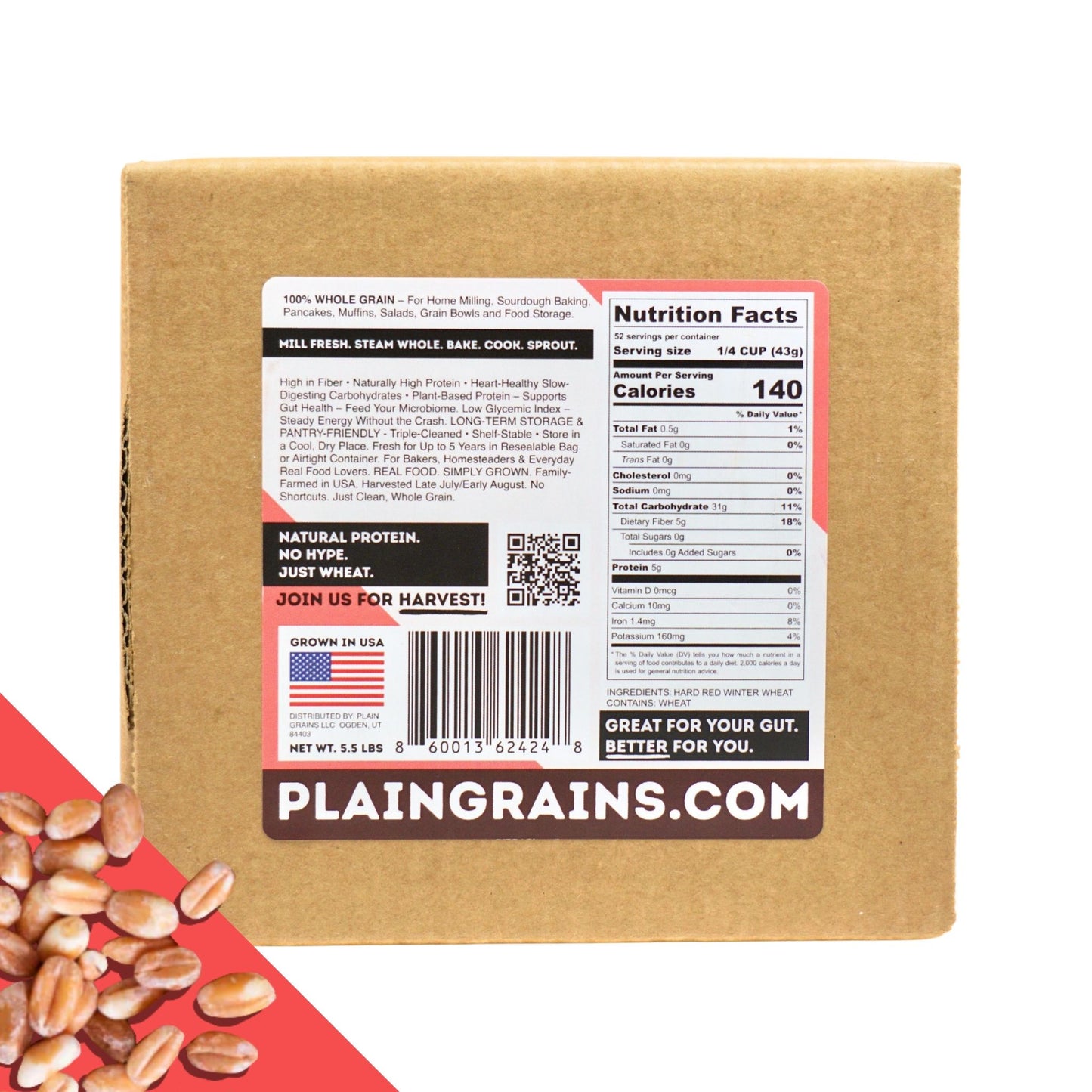 5.5 LB Dry Hard Red Winter Wheat Berries | Single Box