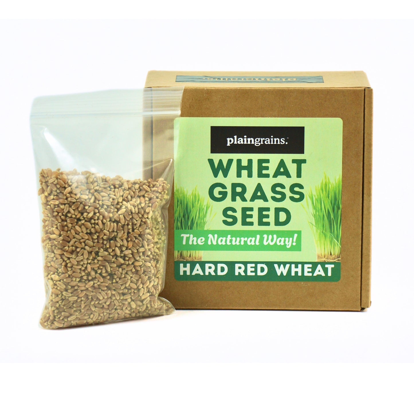 1.5 LB Wheatgrass Seeds - The Natural Way | Single Box w/ 4 Packets