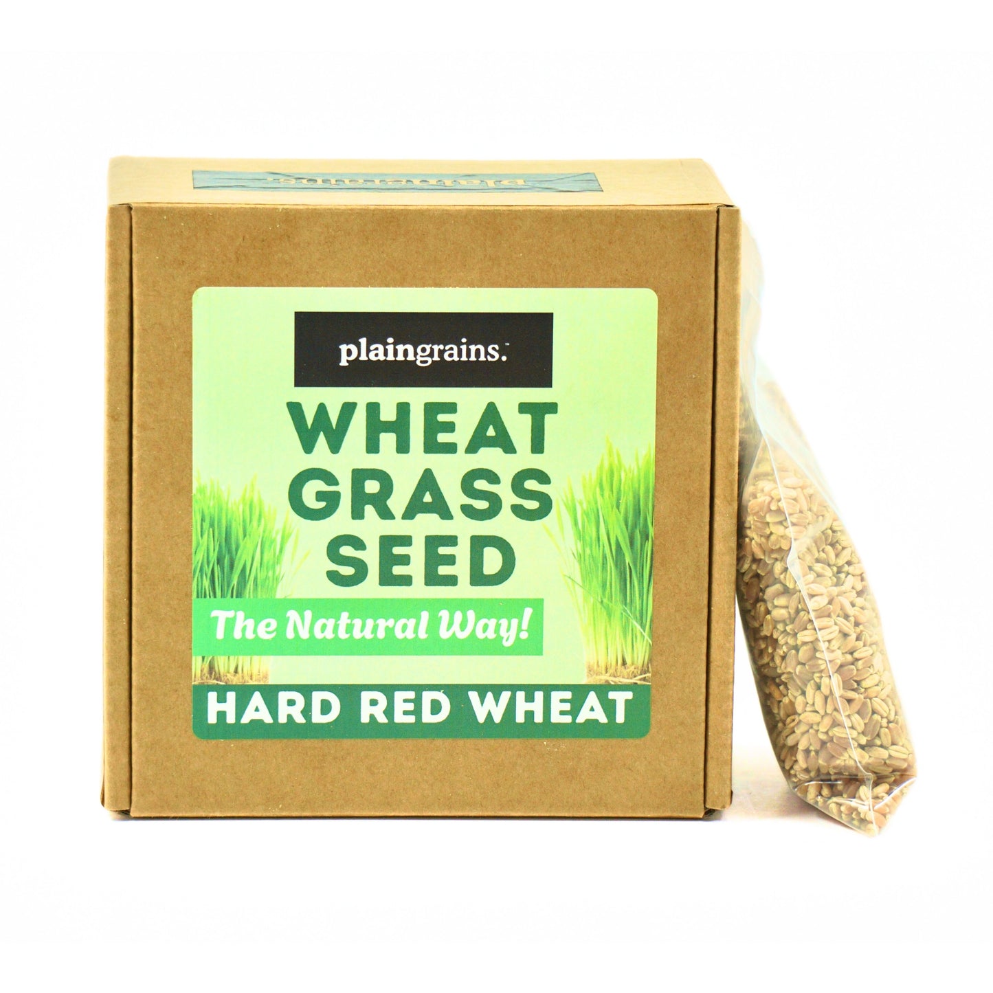1.5 LB Wheatgrass Seeds - The Natural Way | Single Box w/ 4 Packets