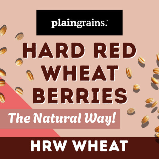 5.5 LB Dry Organic Hard Red Winter Wheat Berries | Single Box
