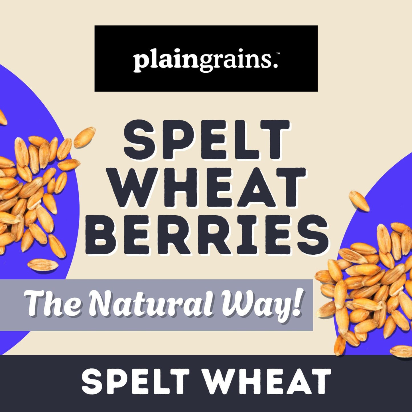 5.5 LB Dry Organic Spelt Wheat Berries - The Natural Way | Single Box