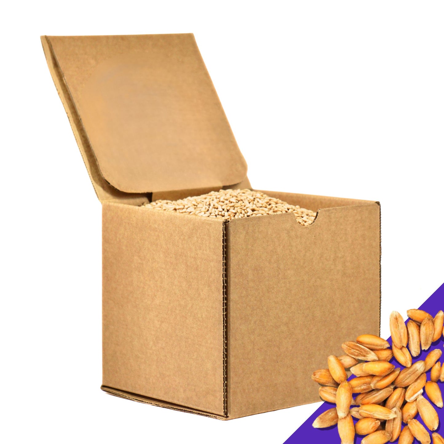 5.5 LB Dry Organic Spelt Wheat Berries - The Natural Way | Single Box