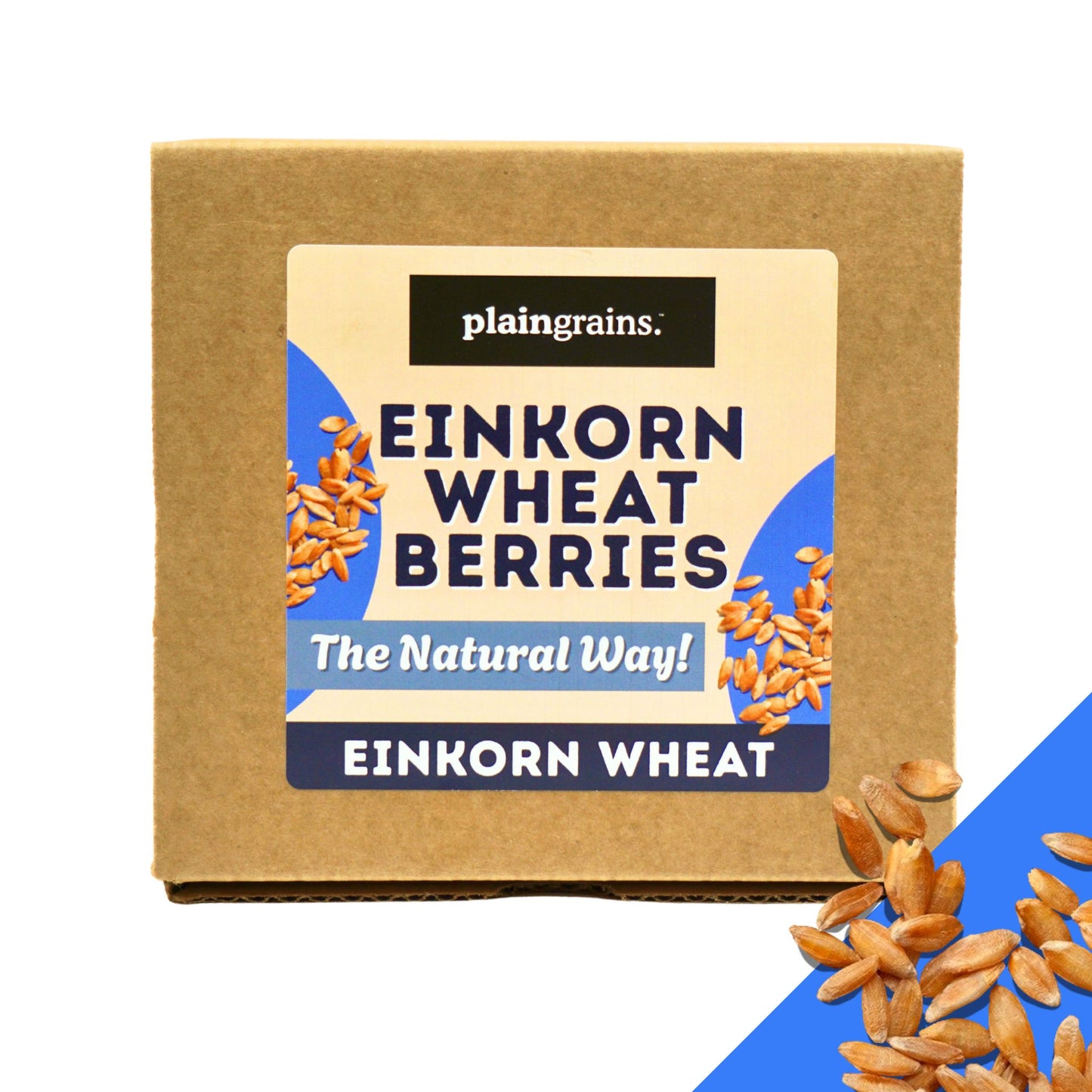 5.5 LB Dry Organic Einkorn Wheat Berries - The Natural Way | Single Box (Copy)