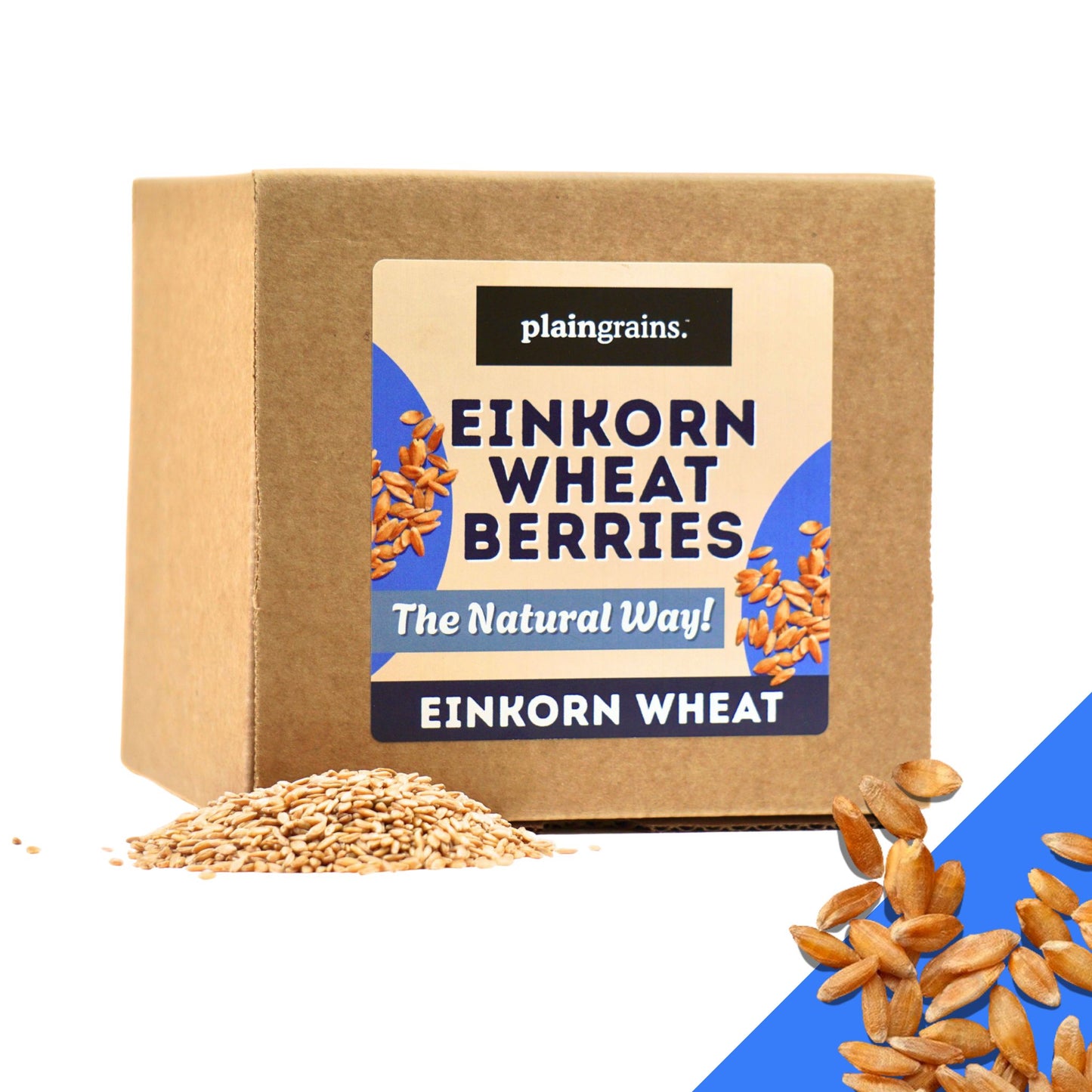 5.5 LB Dry Organic Einkorn Wheat Berries - The Natural Way | Single Box (Copy)