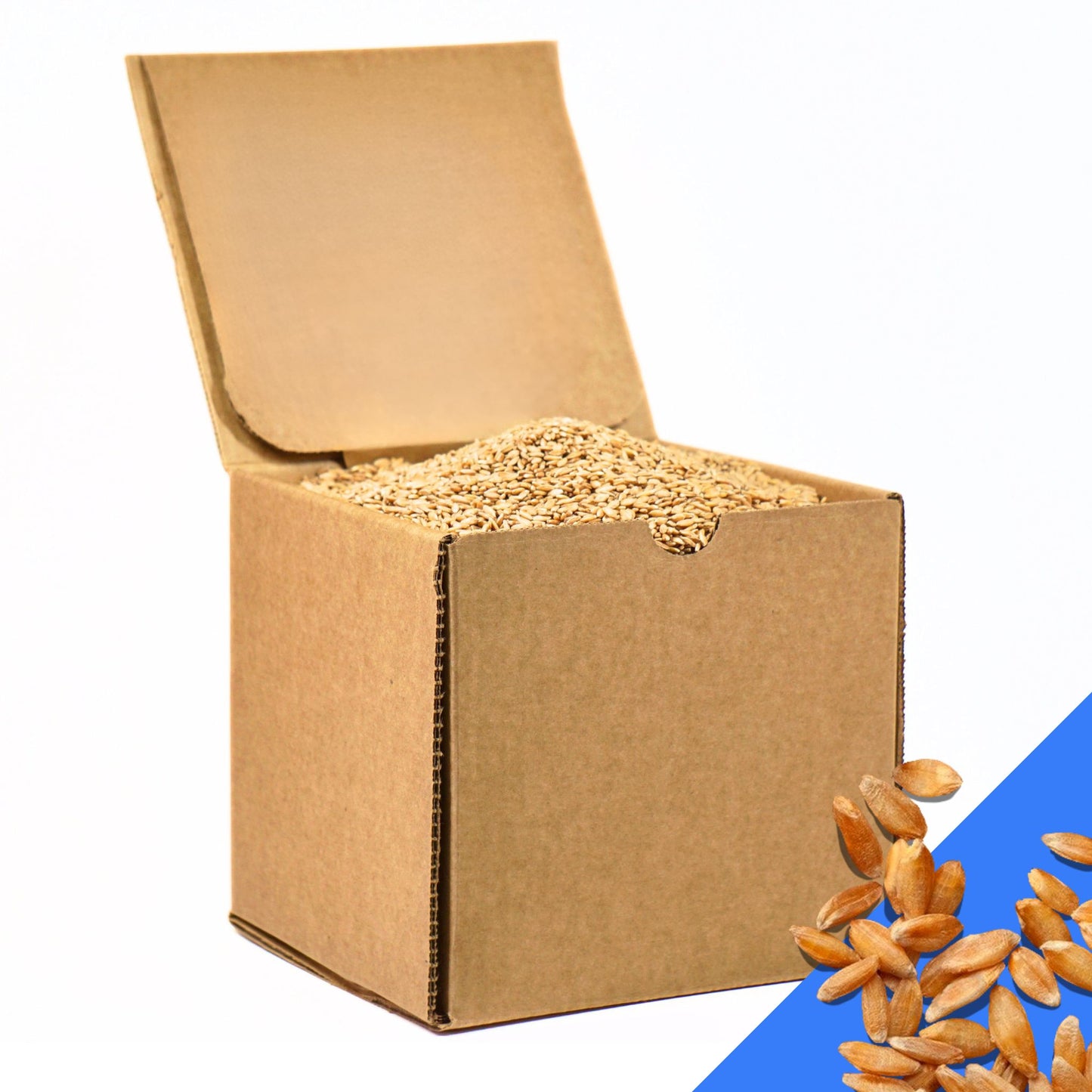 5.5 LB Dry Organic Einkorn Wheat Berries - The Natural Way | Single Box (Copy)