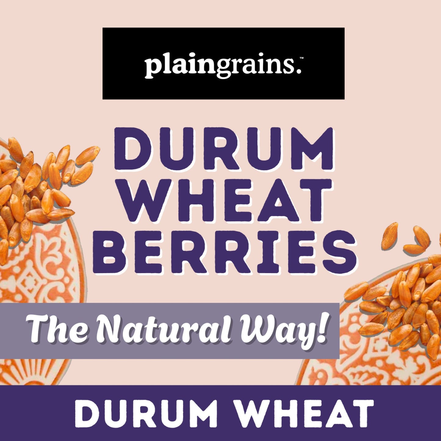 5.5 LB Dry Organic Durum Wheat Berries - The Natural Way | Single Box (Copy)