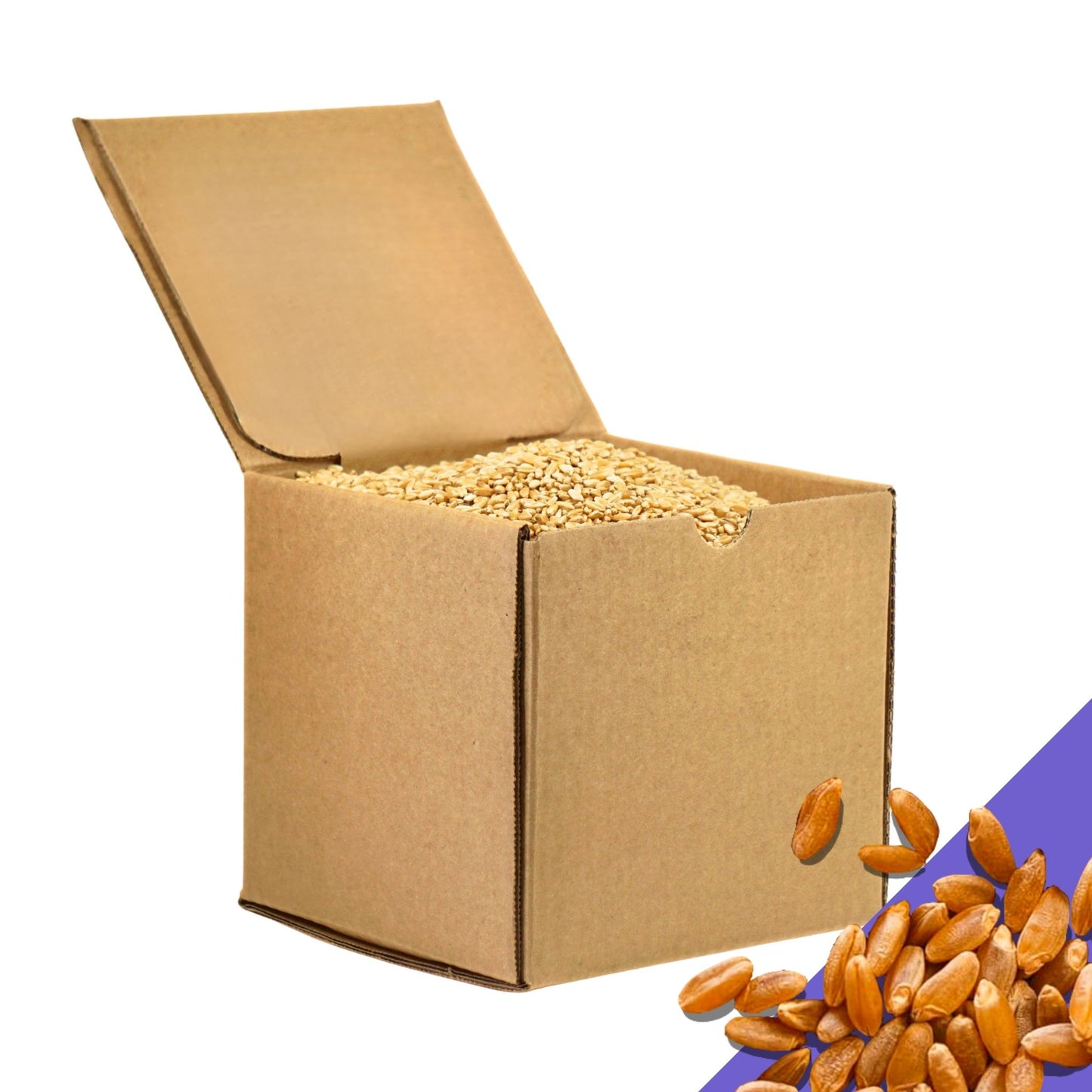 5.5 LB Dry Organic Durum Wheat Berries - The Natural Way | Single Box (Copy)