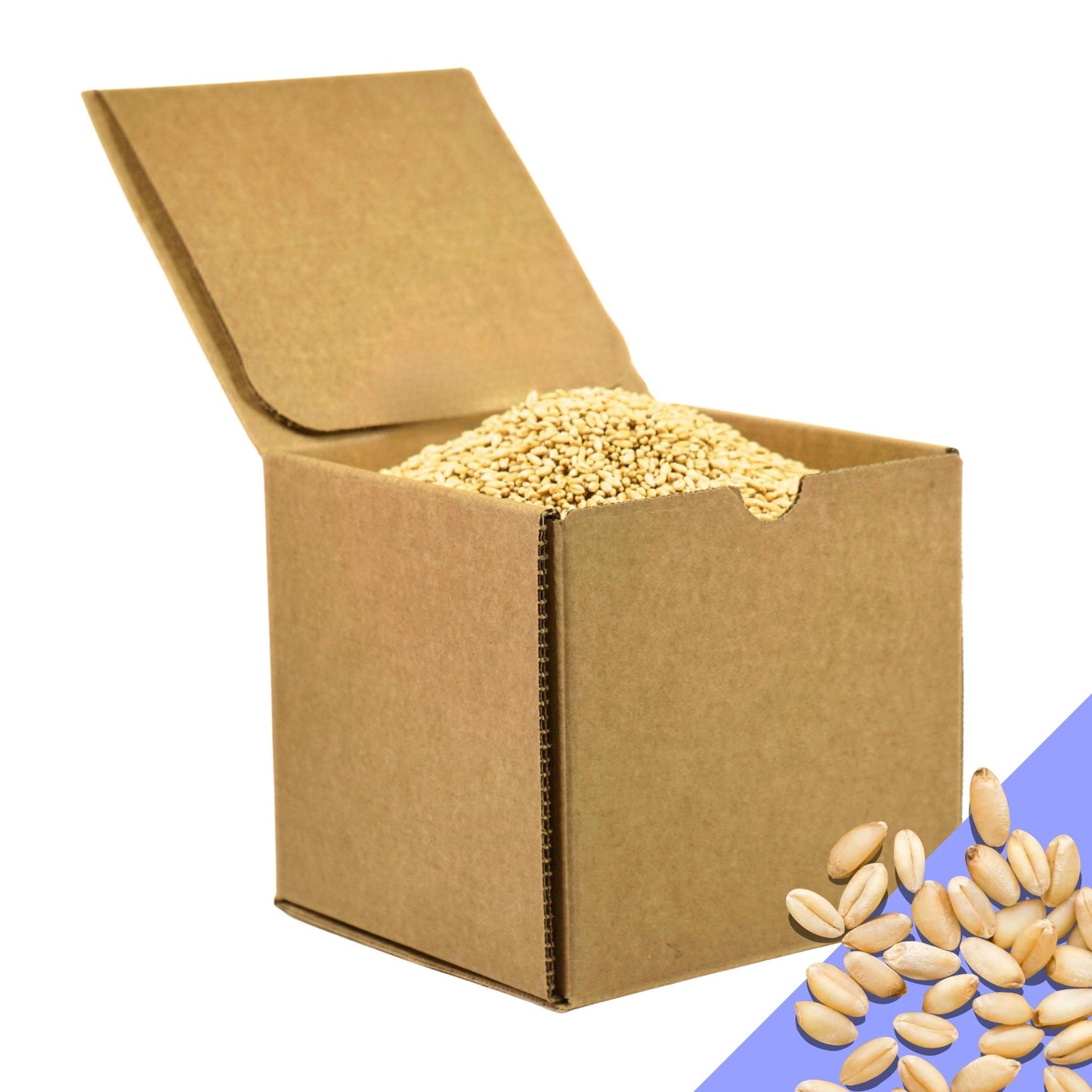 5.5 LB Soft White Spring Wheat Berries Box