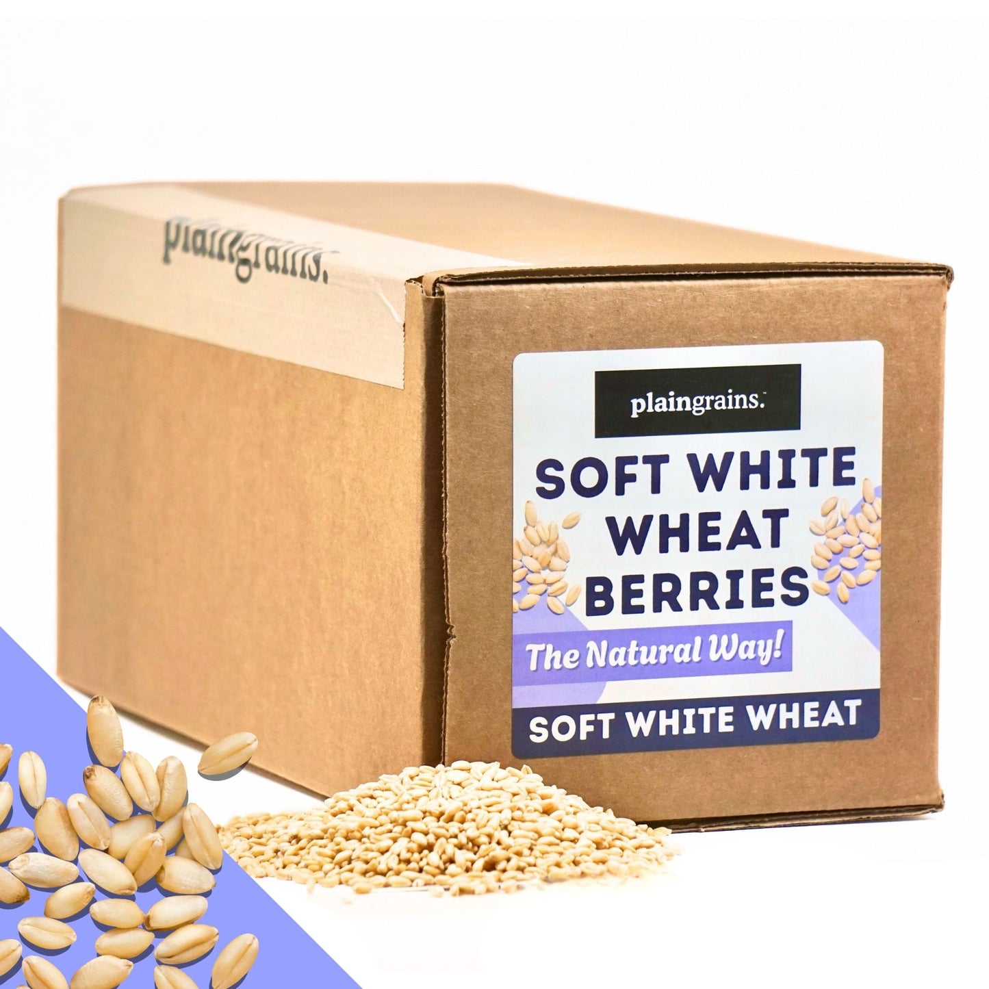 11 LB Dry Organic Soft White Winter Wheat Berries | Single Box