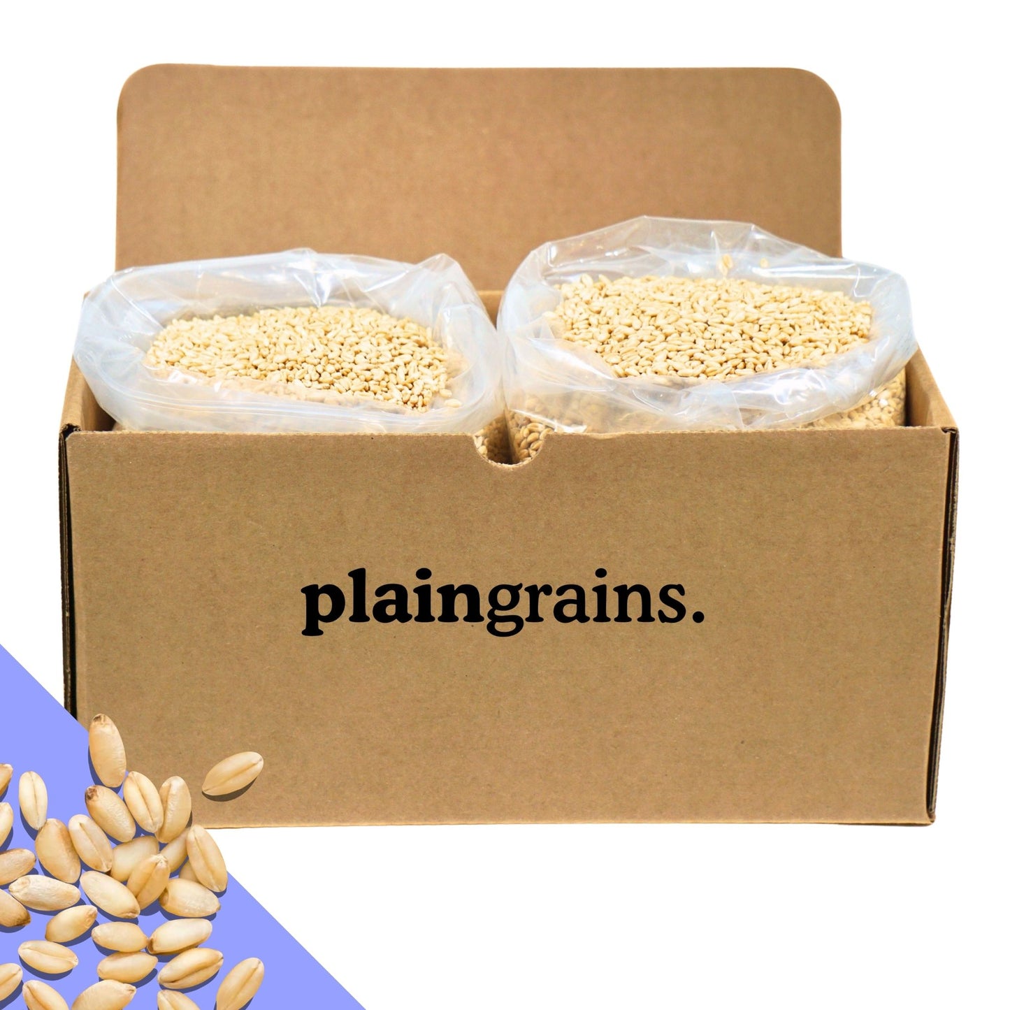 11 LB Dry Organic Soft White Winter Wheat Berries | Single Box