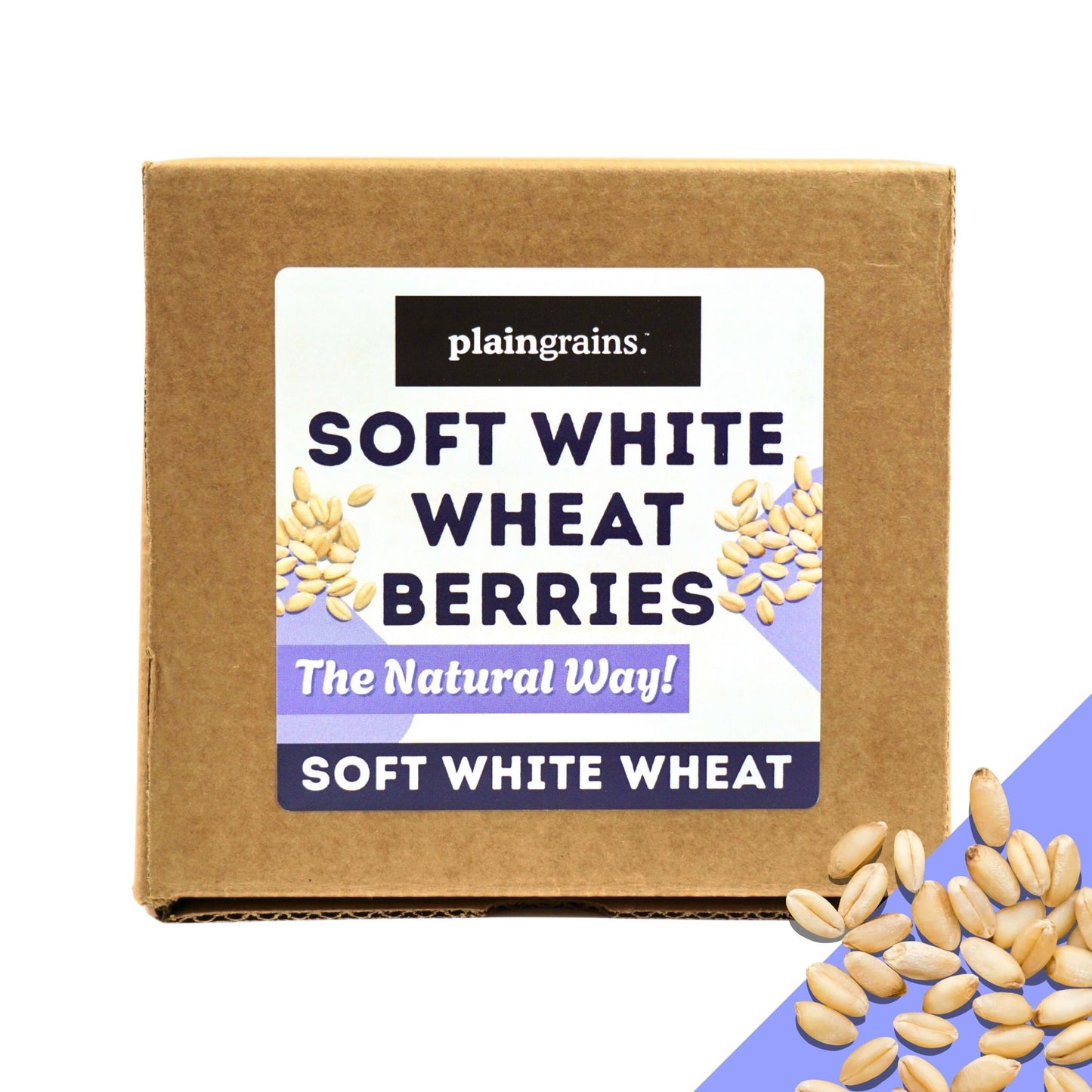 11 LB Dry Organic Soft White Winter Wheat Berries | Single Box