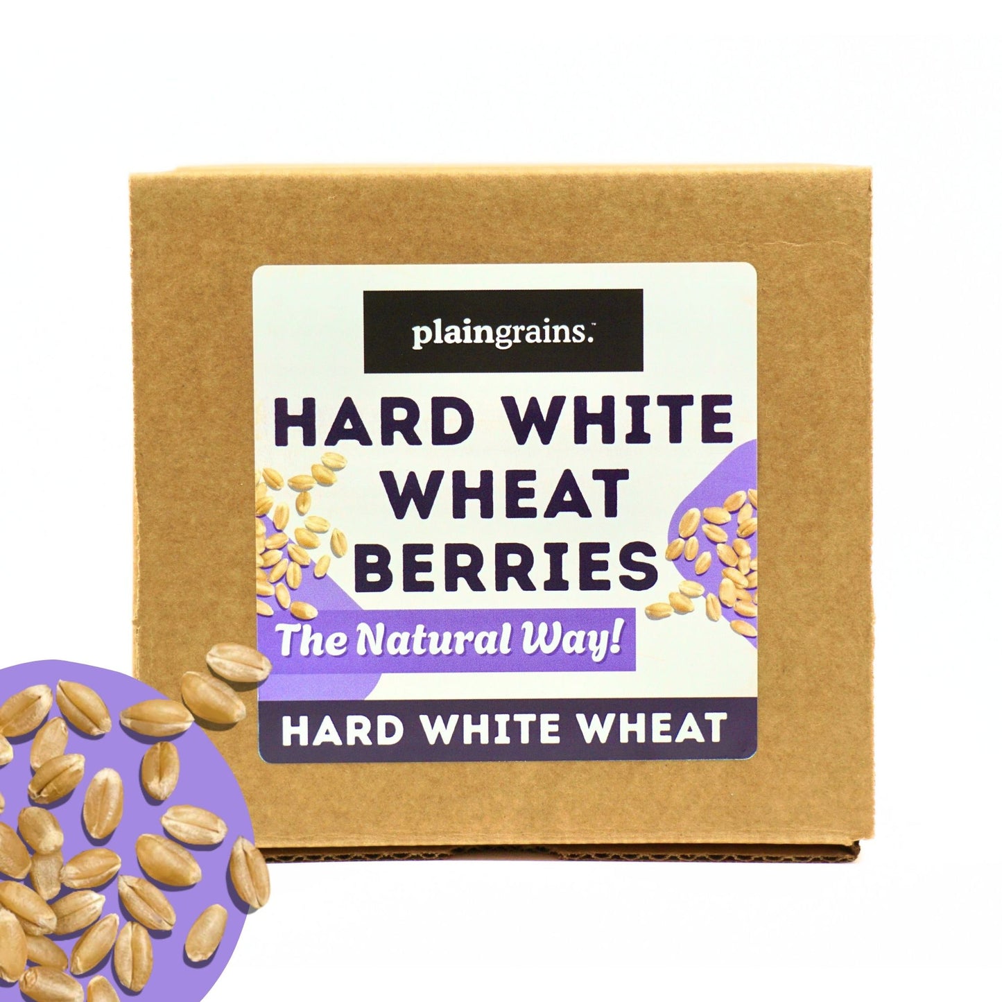 5.5 LB Dry Organic Hard White Winter Wheat Berries | Single Box