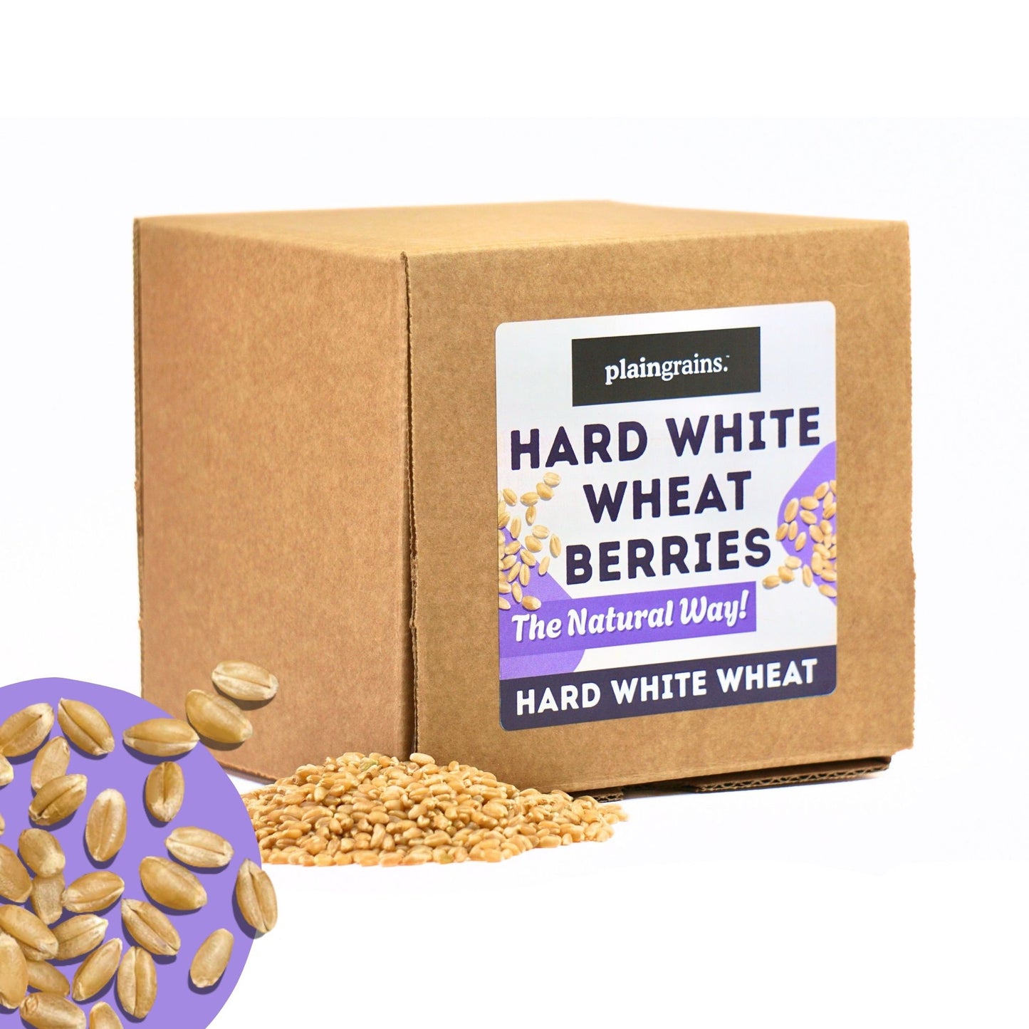 5.5 LB Dry Organic Hard White Winter Wheat Berries | Single Box