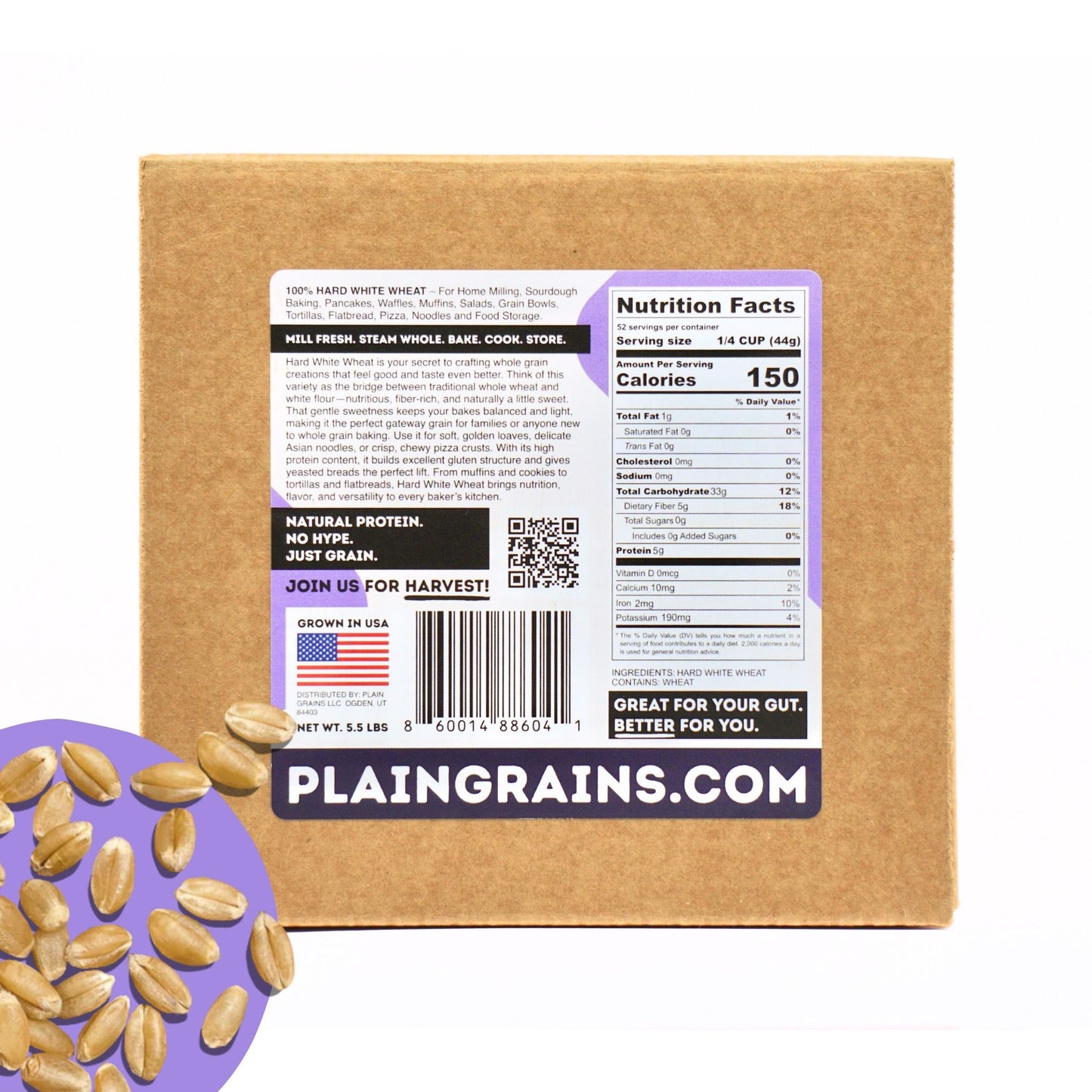 5.5 LB Dry Organic Hard White Winter Wheat Berries | Single Box