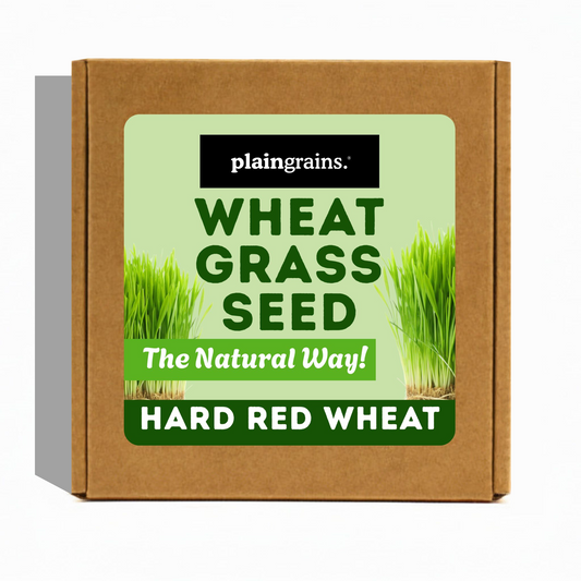 1.5 LB Wheatgrass Seed Box w/ 4 Packets