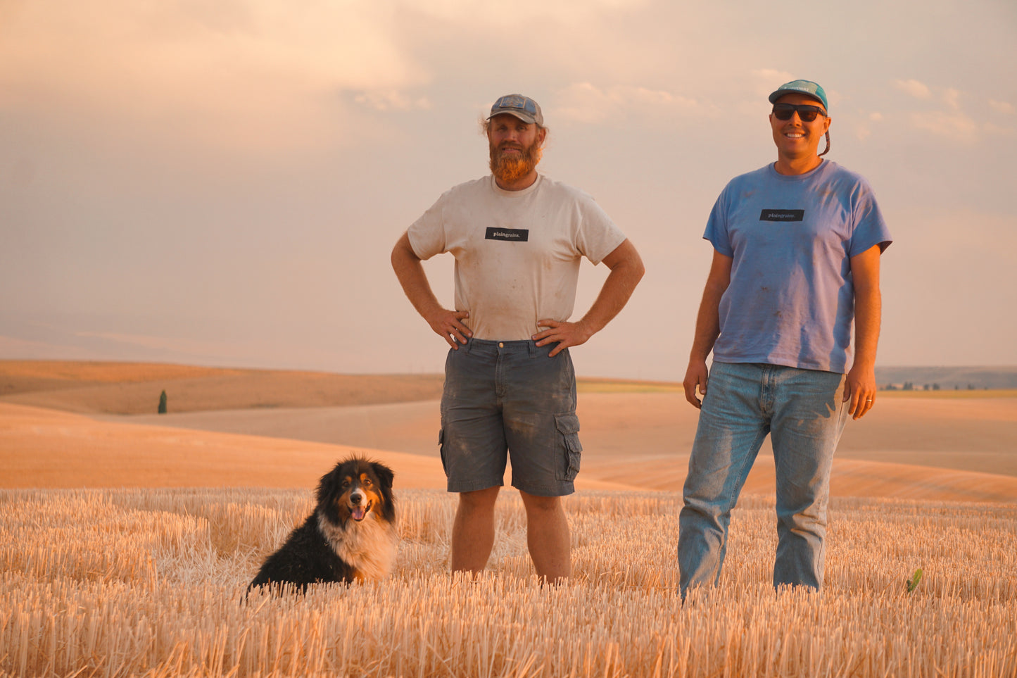 Two people and a dog standing in a field with a scenic background