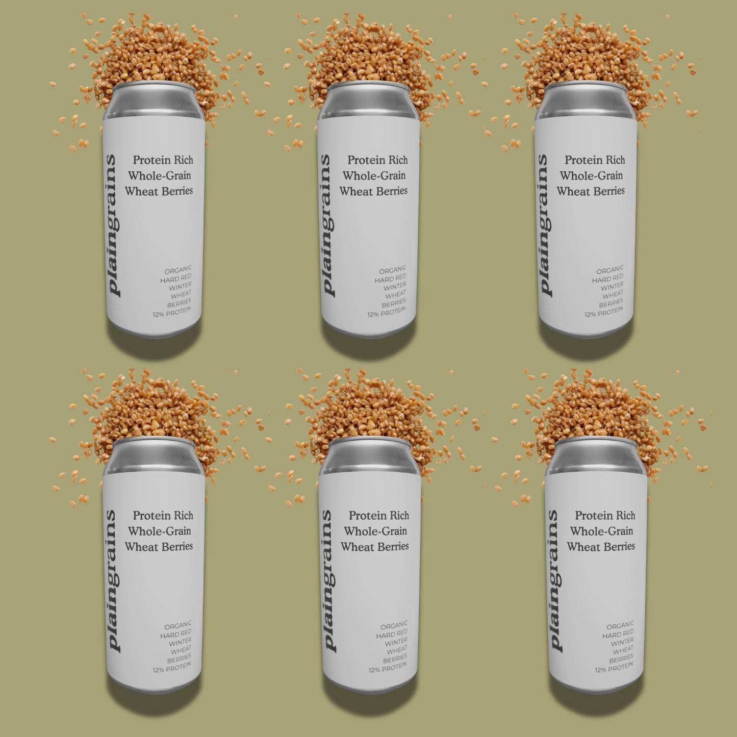 6 Pack - Dry Organic Hard Red Winter Wheat Berries 12% Protein