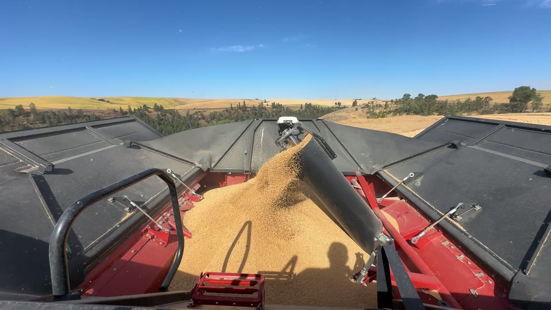 Load video: 